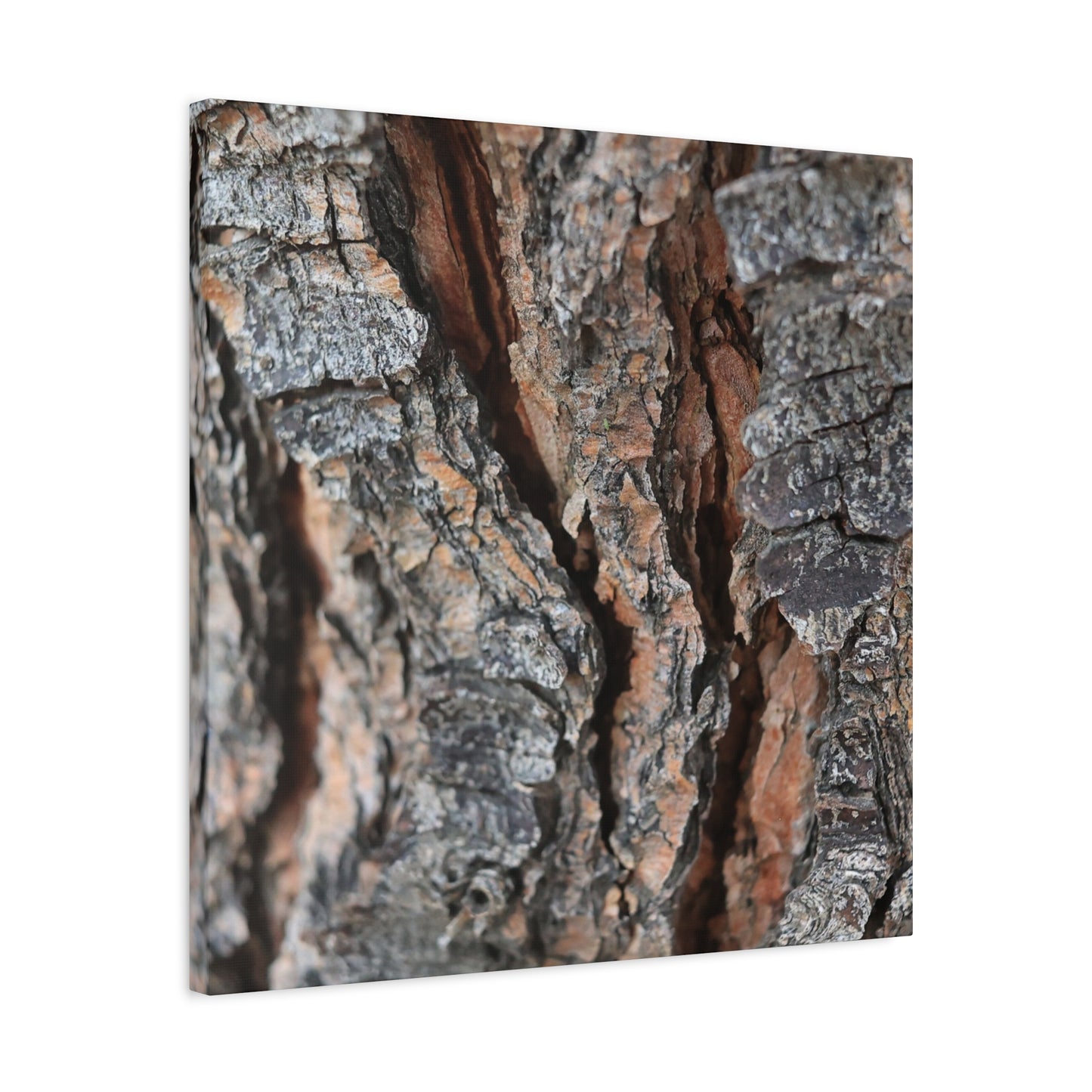 Rough Whispers - Unique Frameless Canvas Wall Art
