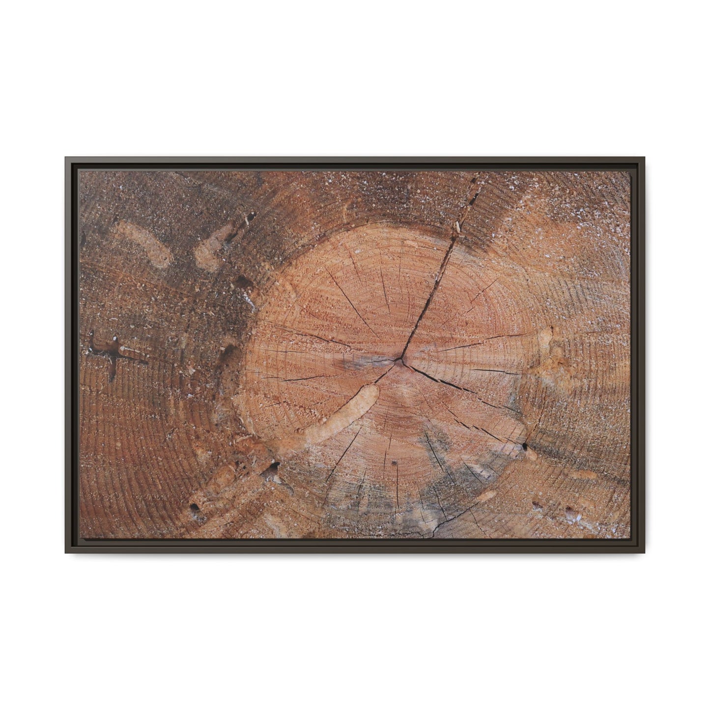 Concentric Memories - Unique Stretched Canvas Wall Art