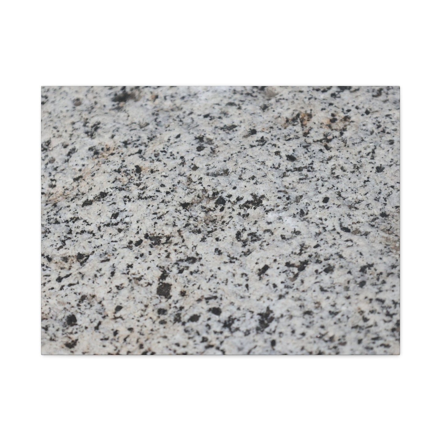 Speckled Silence - Unique Frameless Canvas Wall Art