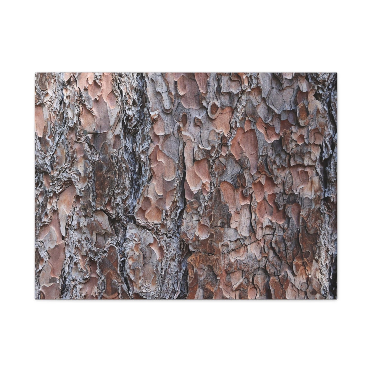 Woodland Armor - Unique Frameless Canvas Wall Art