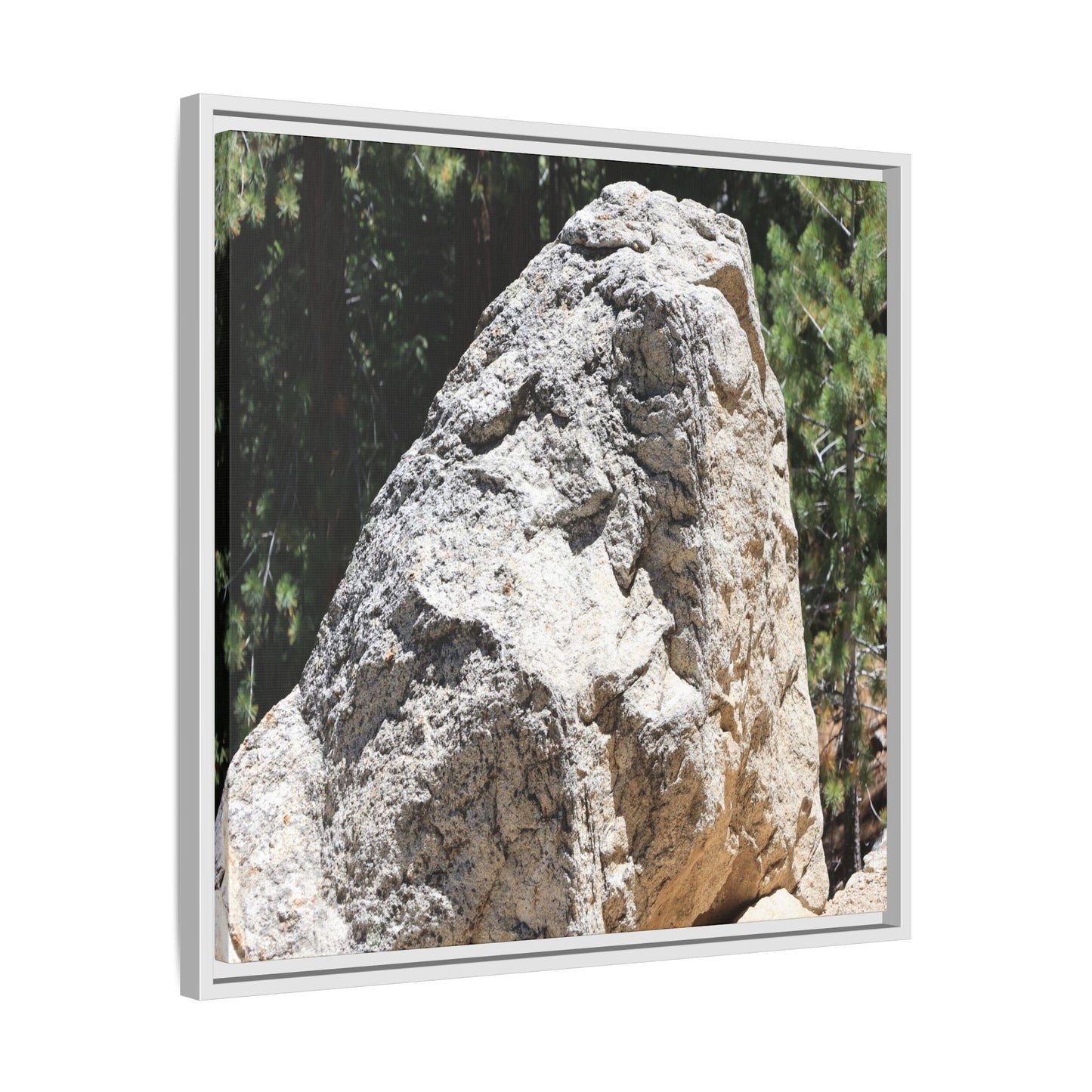 Stone's Silent Whisper - Unique Stretched Canvas Wall Art