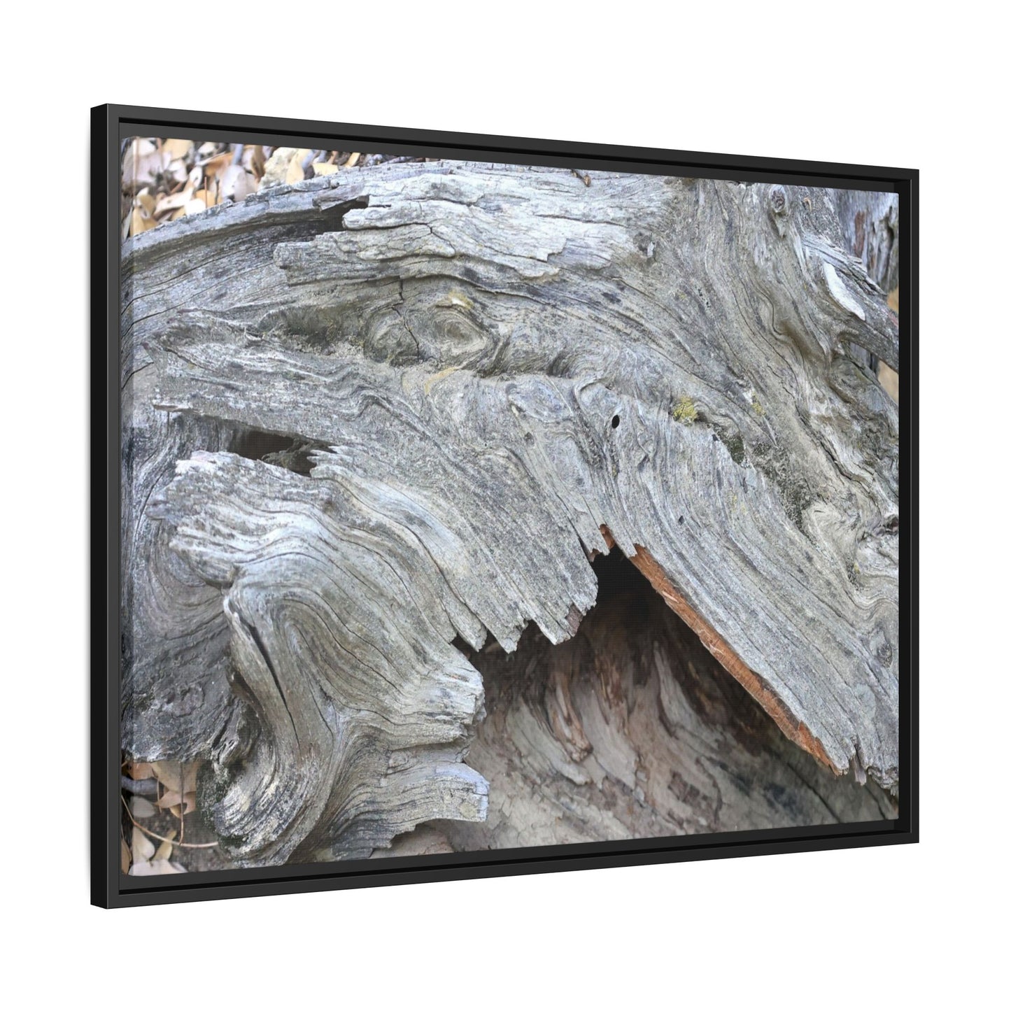 Driftwood Dreams - Unique Stretched Canvas Wall Art