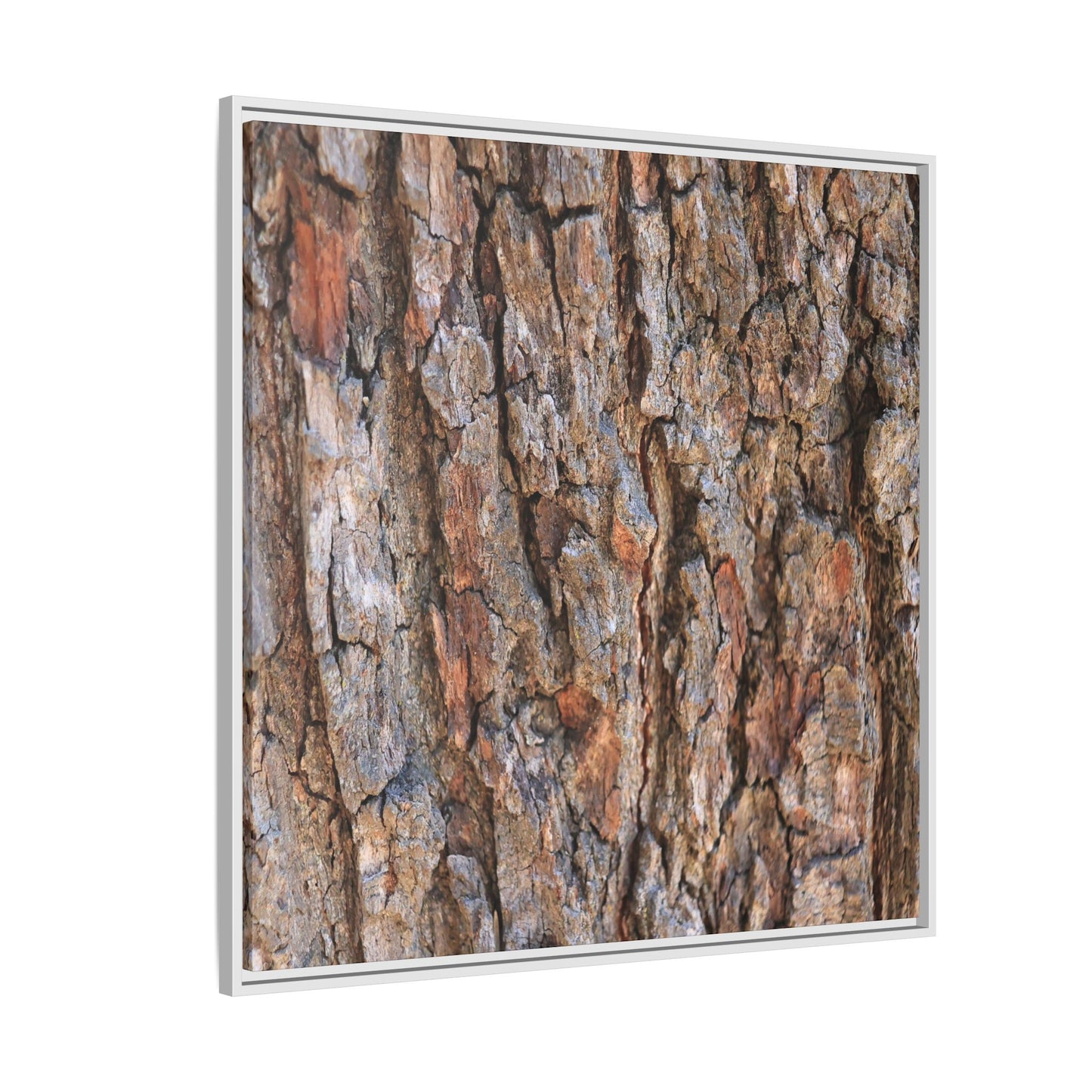 Tree's Timeworn Tale - Unique Stretched Canvas Wall Art