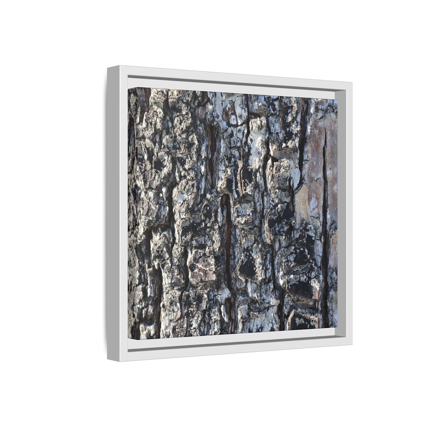 The Bark Chronicles - Unique Stretched Canvas Wall Art