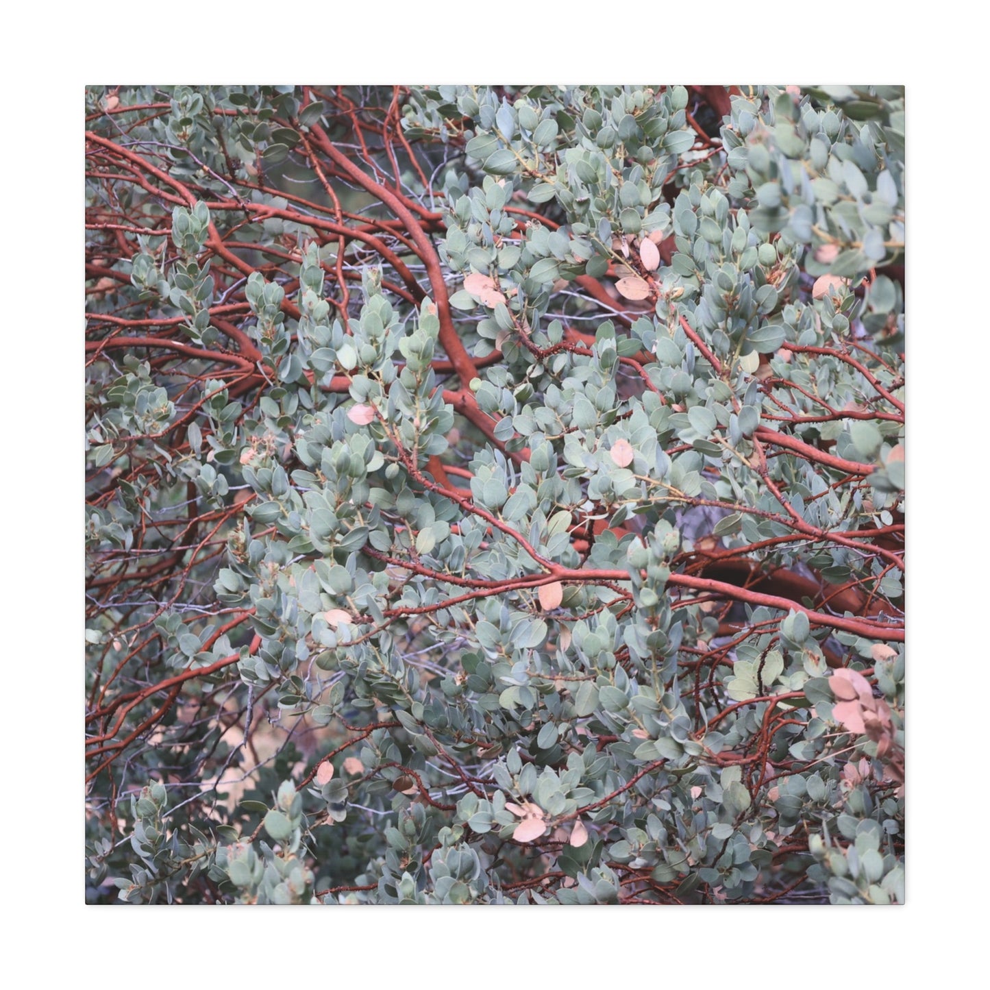 Whispers of Silver and Rust - Unique Frameless Canvas Wall Art