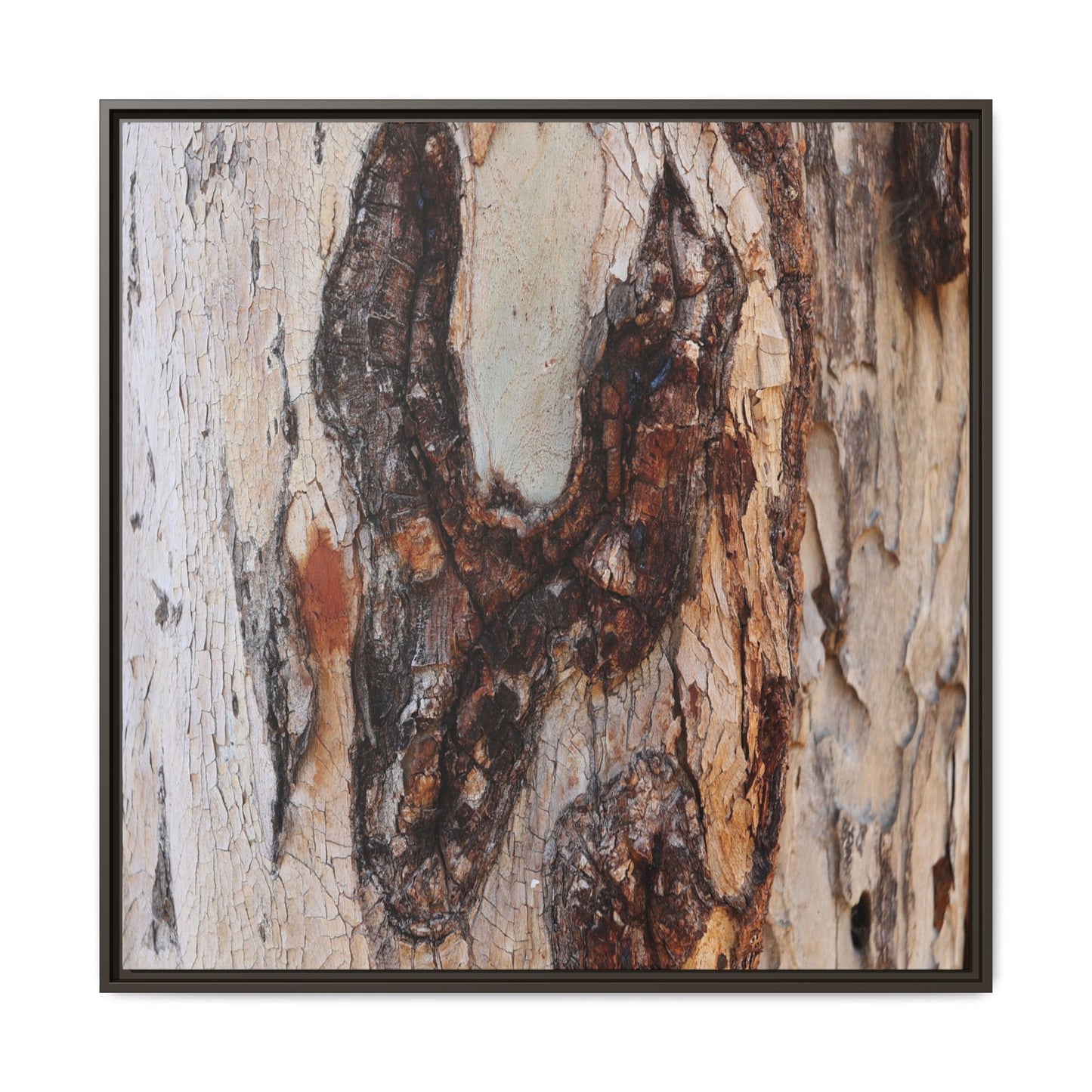 Texture of Time - Unique Stretched Canvas Wall Art