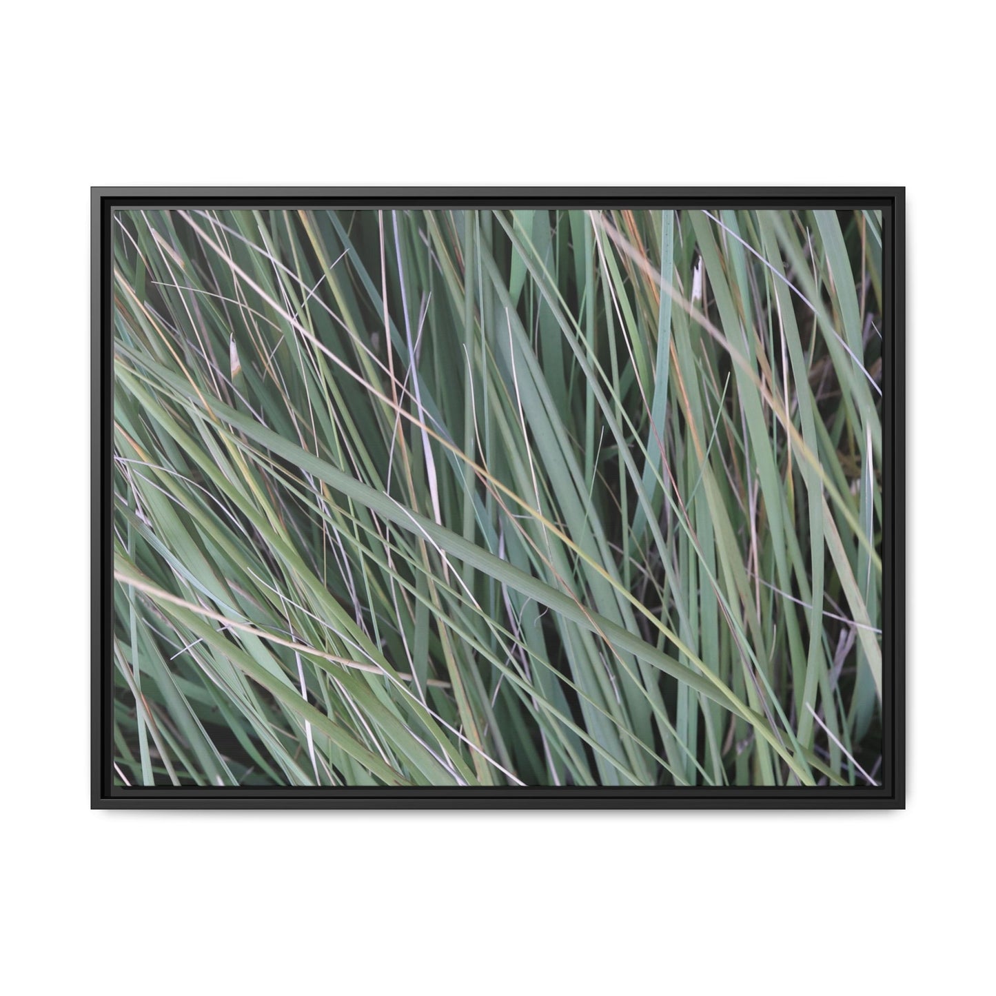 Grassland Symphony - Unique Stretched Canvas Wall Art