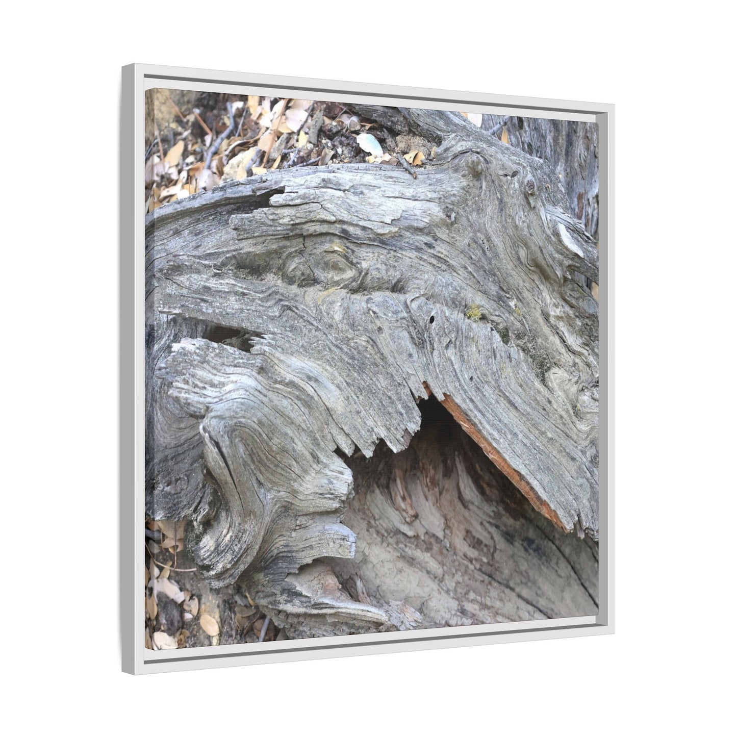 Driftwood Dreams - Unique Stretched Canvas Wall Art