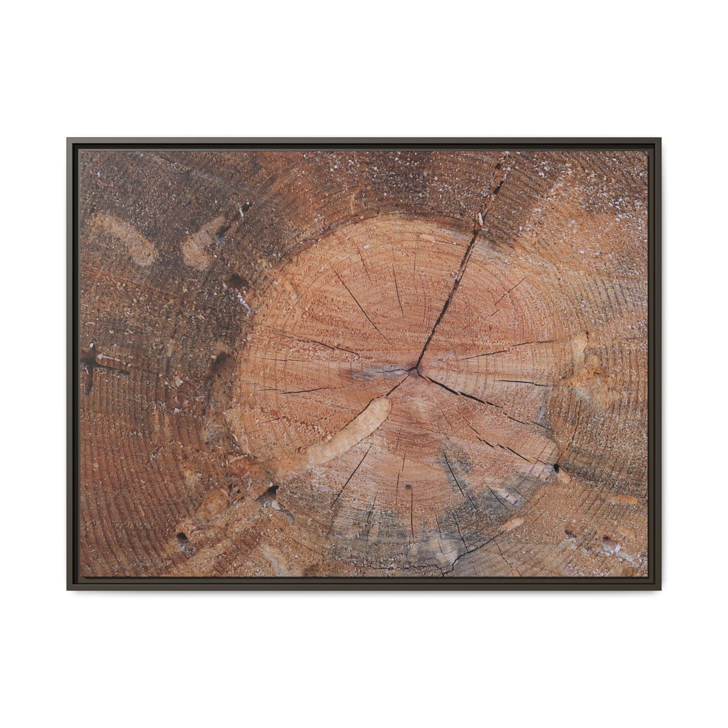 Concentric Memories - Unique Stretched Canvas Wall Art