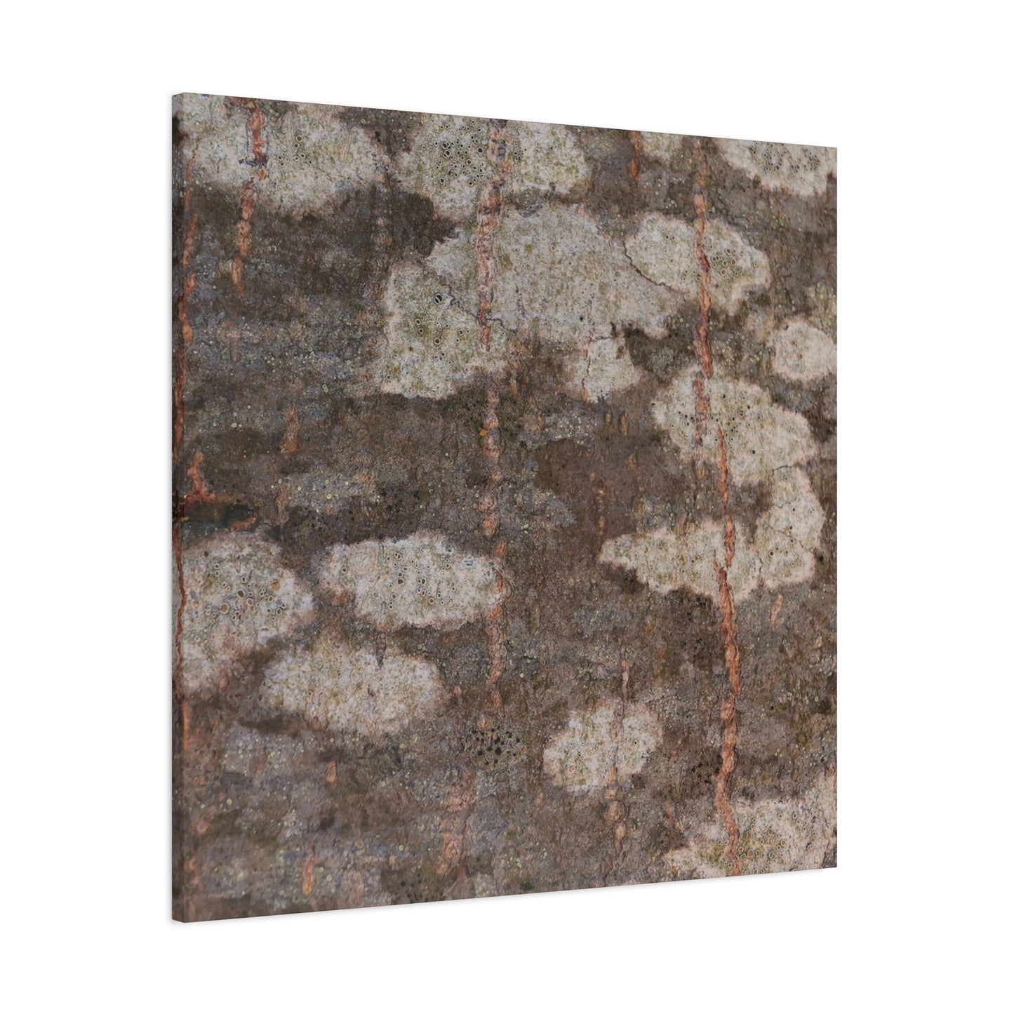 Earthen Memoir - Unique Frameless Canvas Wall Art