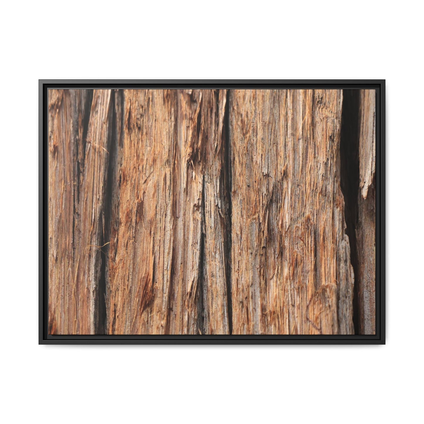 Timber Echoes - Unique Stretched Canvas Wall Art