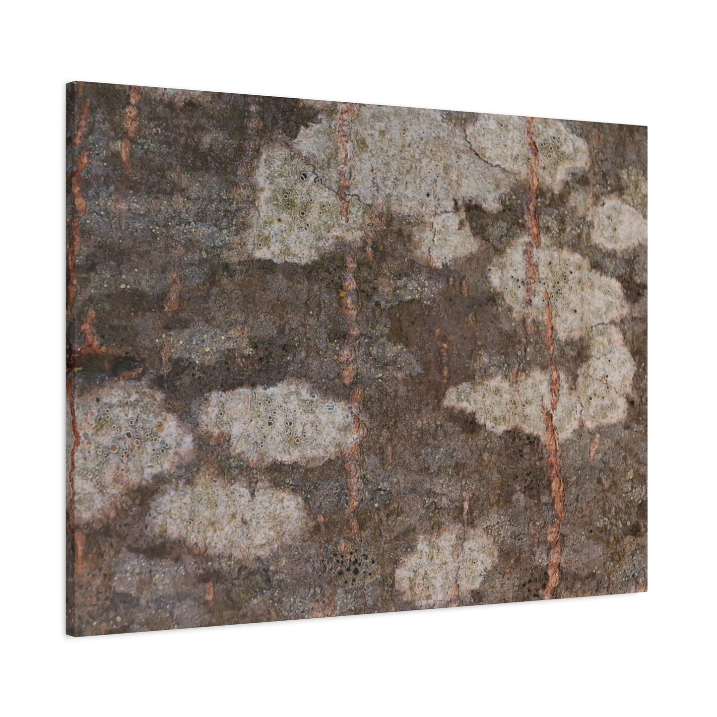 Earthen Memoir - Unique Frameless Canvas Wall Art