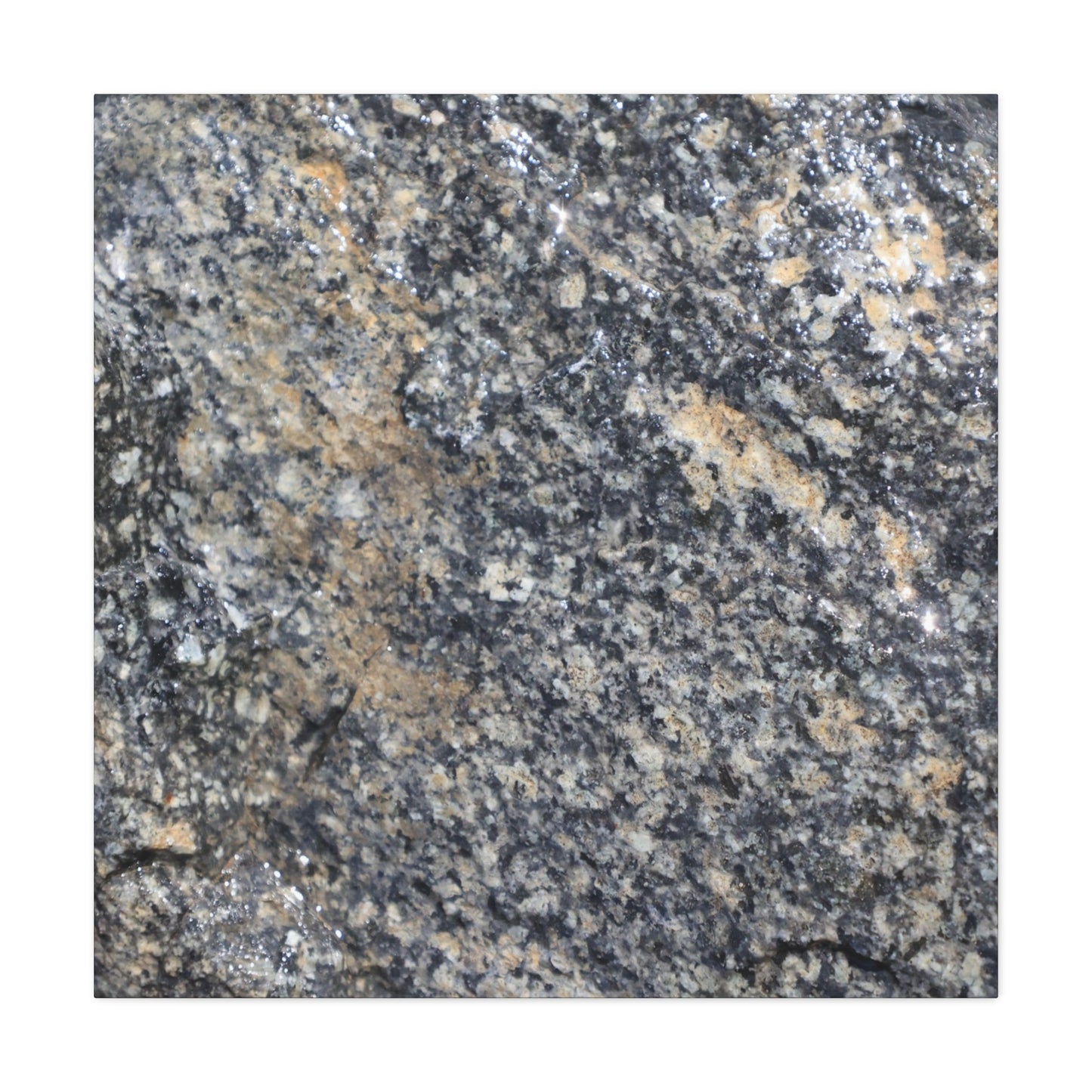 Metamorphic Memory - Unique Frameless Canvas Wall Art