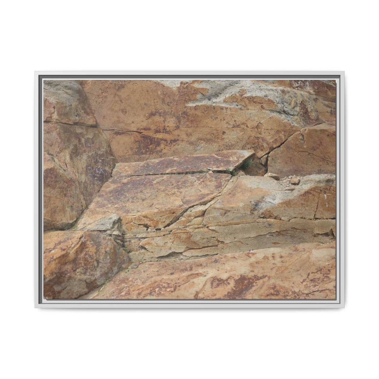 Ancient Foundations - Unique Stretched Canvas Wall Art