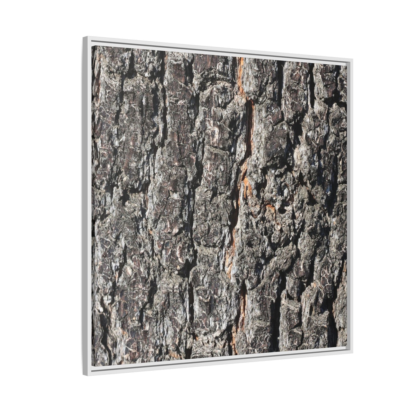 Aged Beauty - Unique Stretched Canvas Wall Art