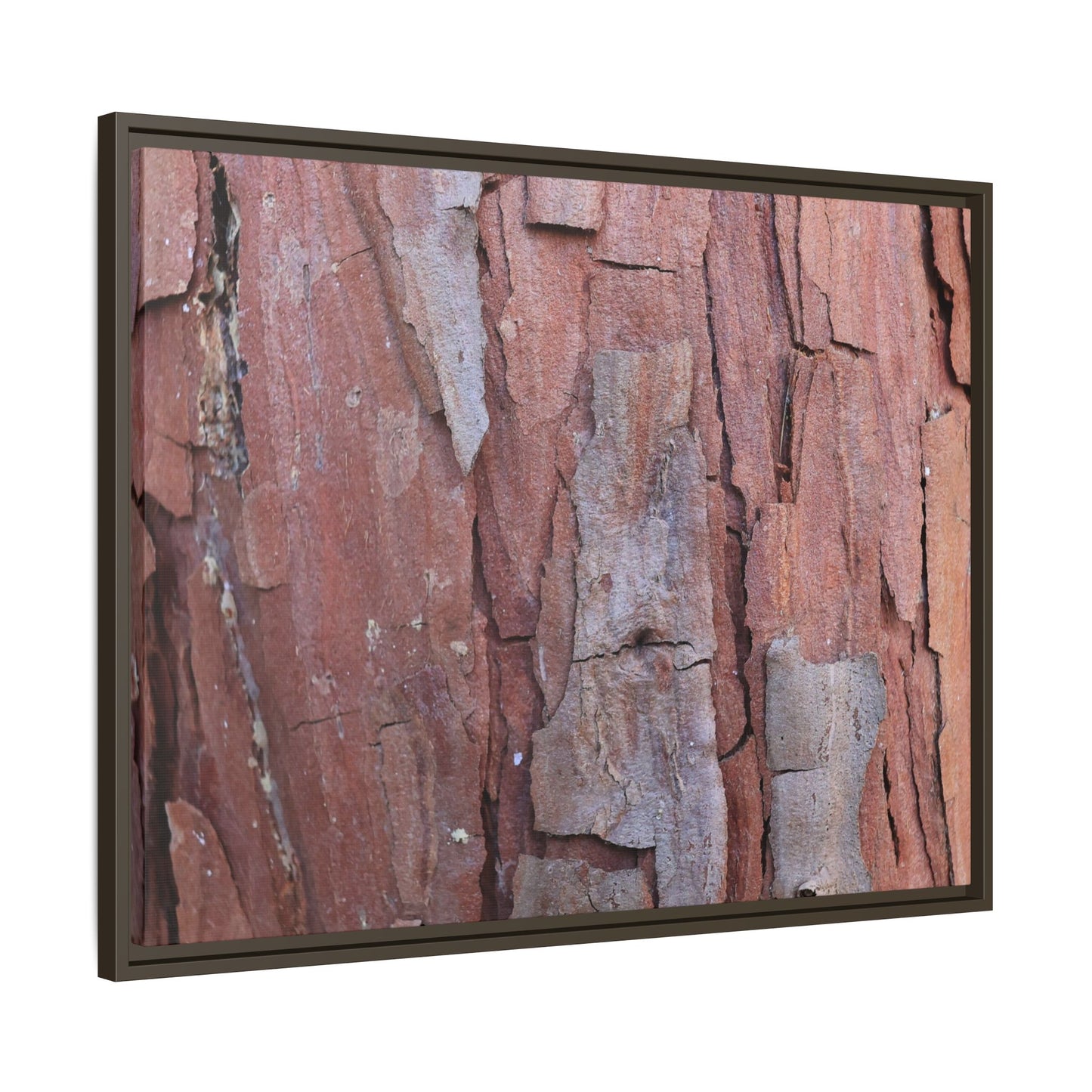 Peeling Bark - Unique Stretched Canvas Wall Art