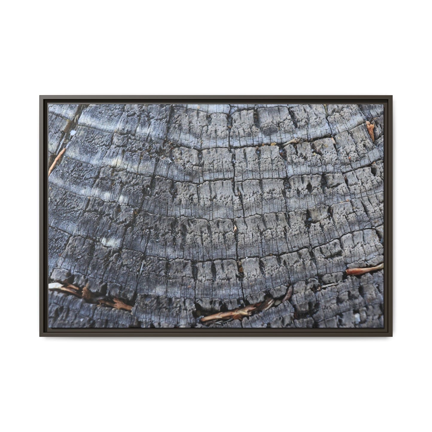 Charred Memories - Unique Stretched Canvas Wall Art