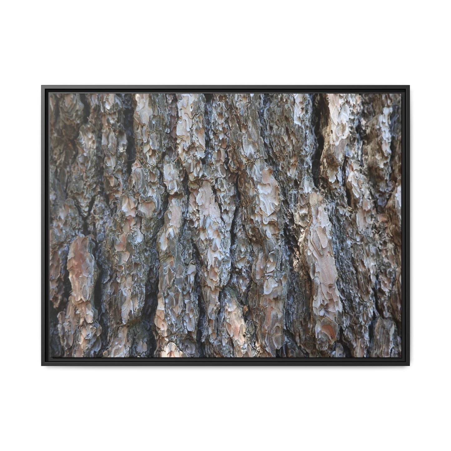 Bark Whispers - Unique Stretched Canvas Wall Art