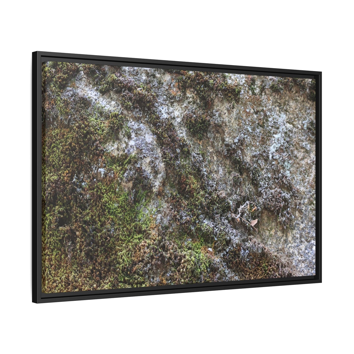 Mossy Whispers - Unique Stretched Canvas Wall Art