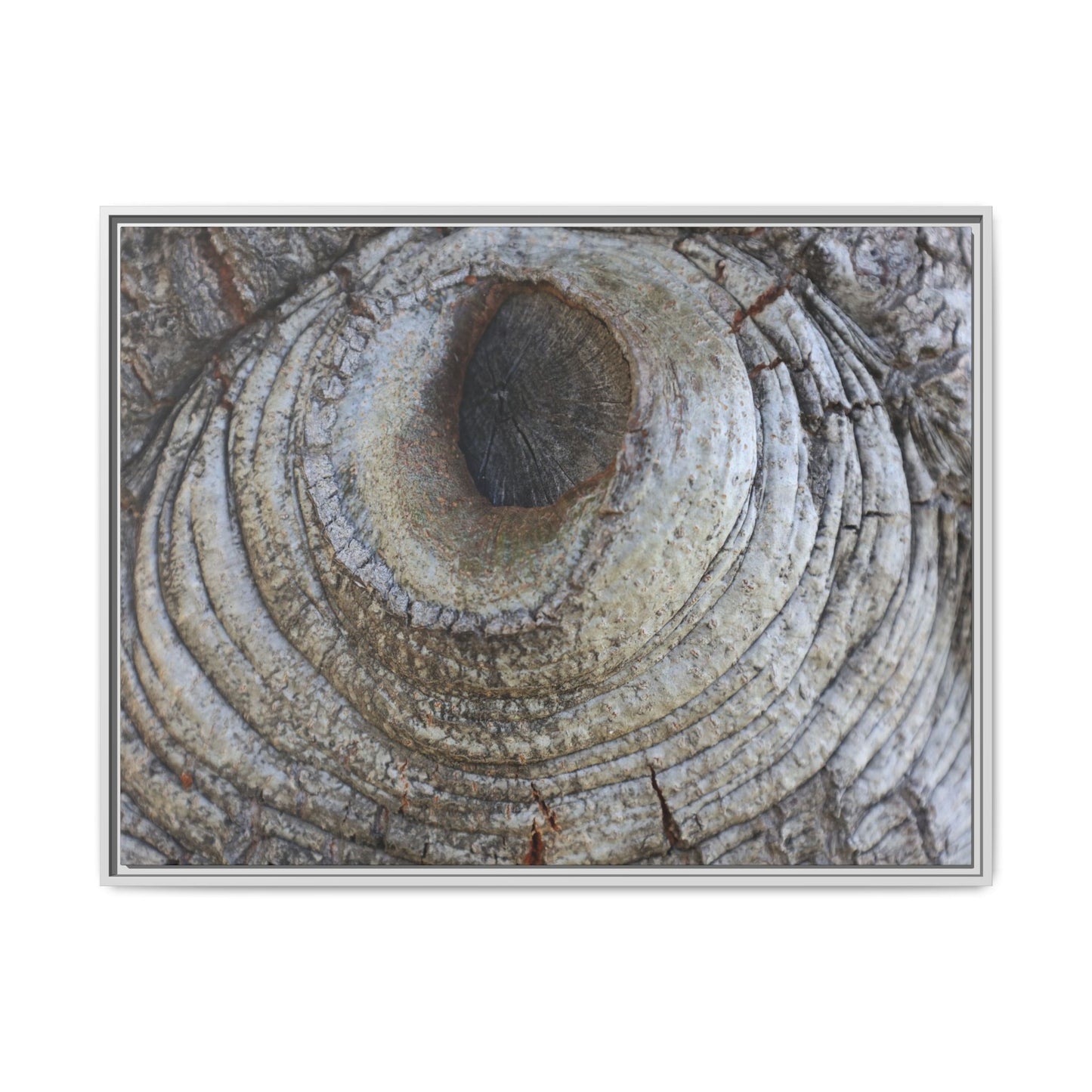 Echoes of Time - Unique Stretched Canvas Wall Art