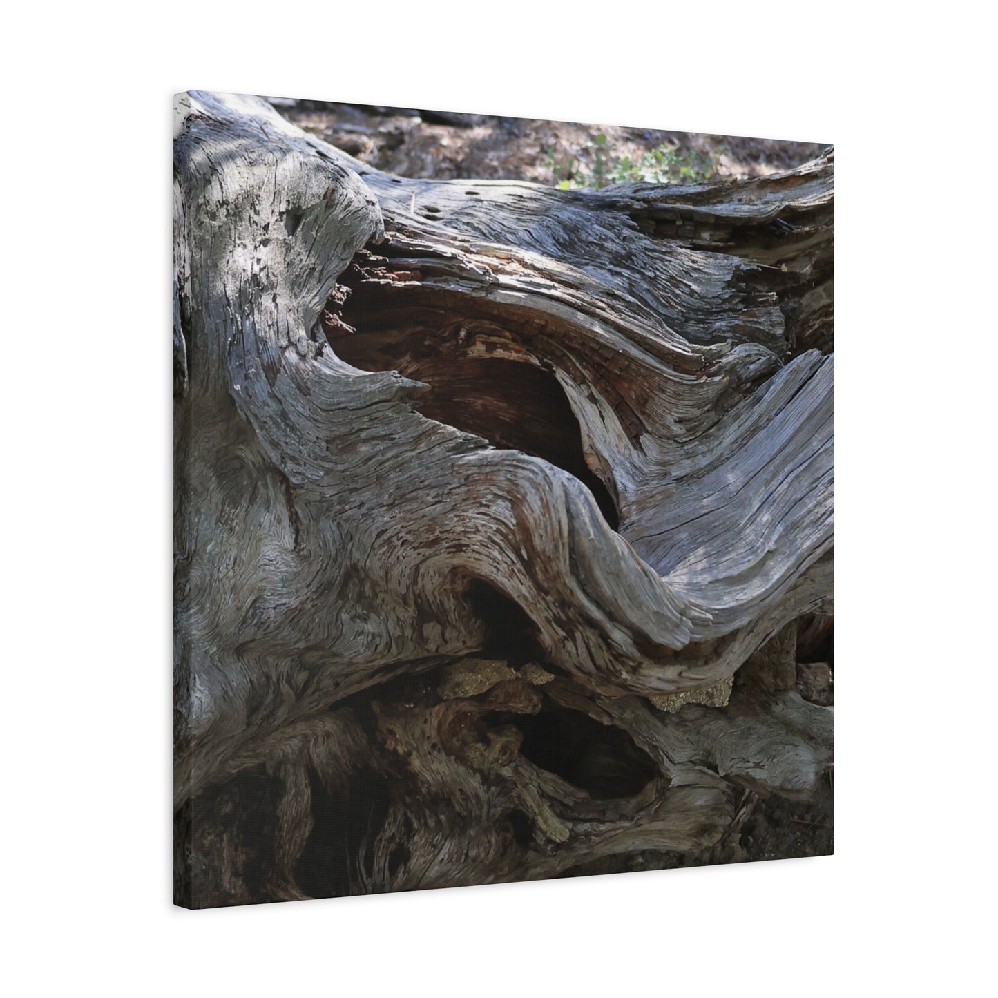 Twisted Fate - Unique Frameless Canvas Wall Art