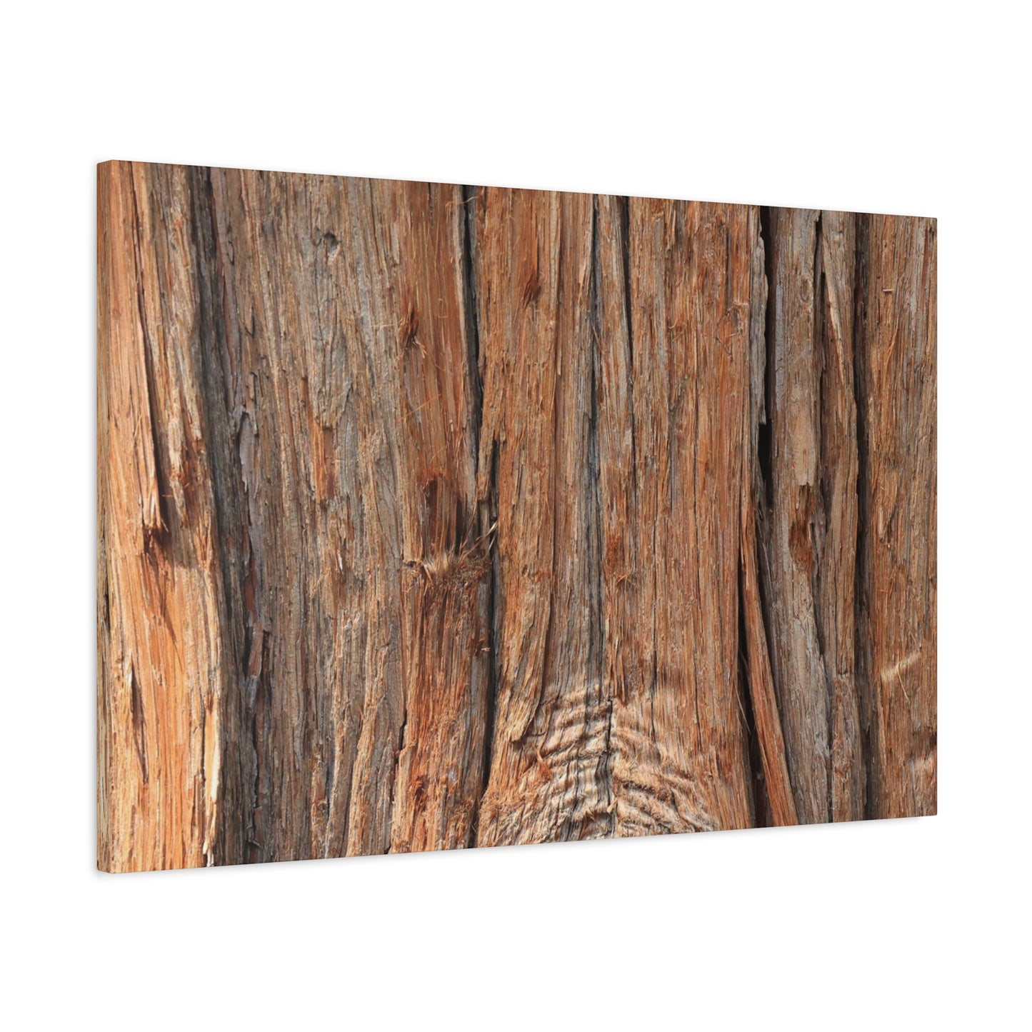Bark's Ancient Whispers - Unique Frameless Canvas Wall Art
