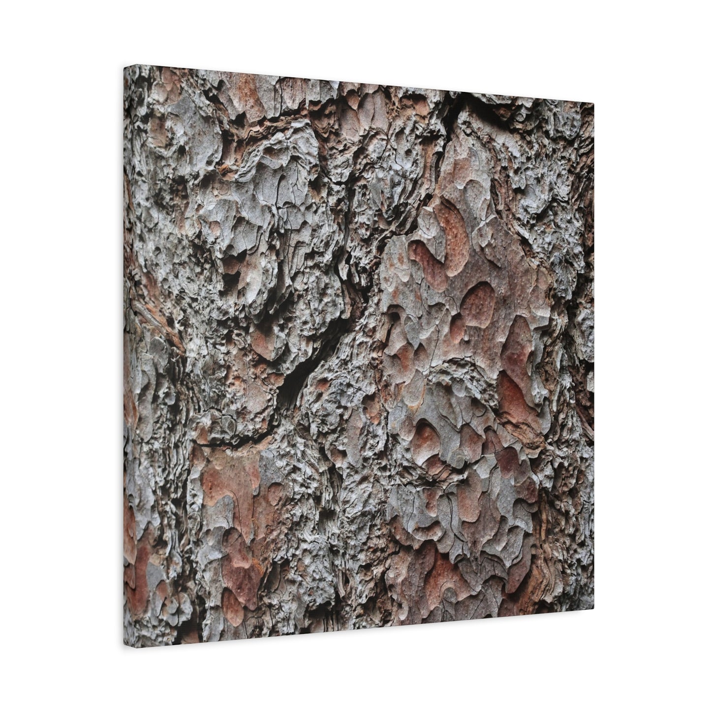 Textured Whispers of Bark - Unique Frameless Canvas Wall Art