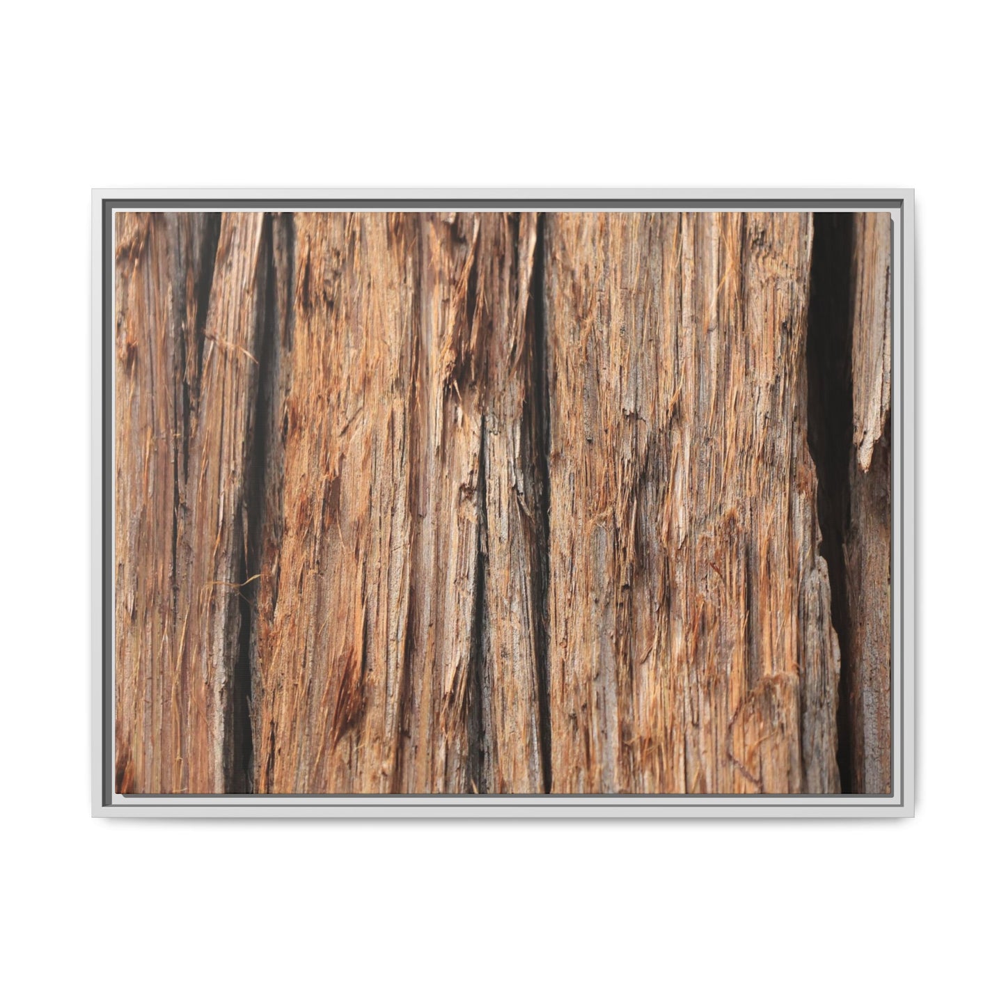Timber Echoes - Unique Stretched Canvas Wall Art
