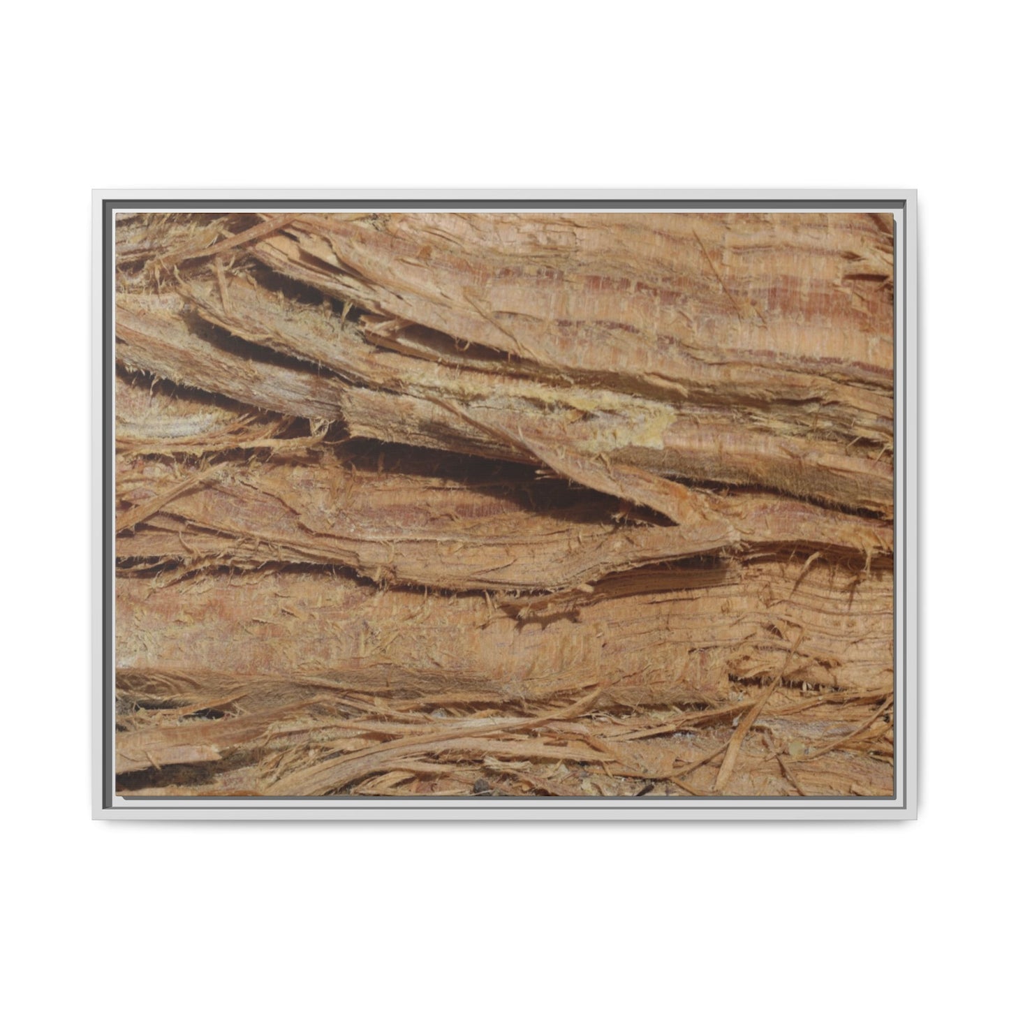 Splintered Bark - Unique Stretched Canvas Wall Art