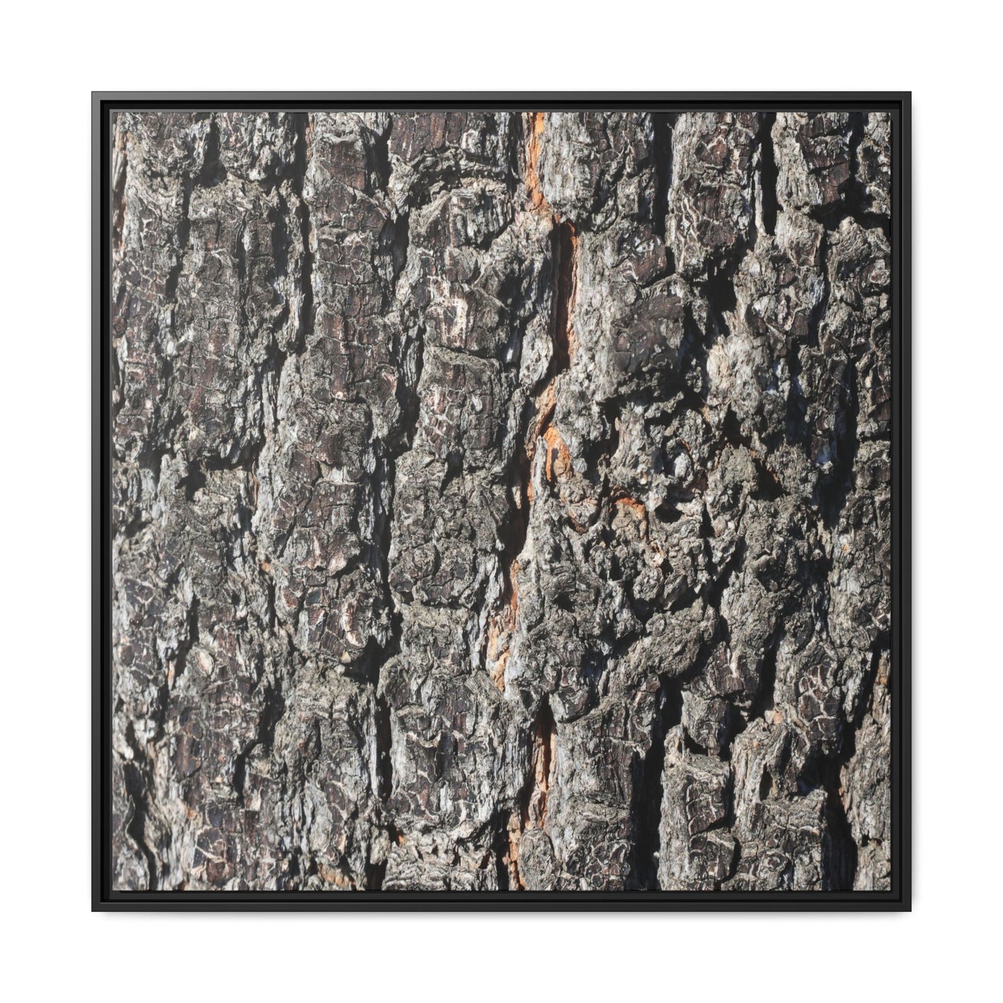 Aged Beauty - Unique Stretched Canvas Wall Art