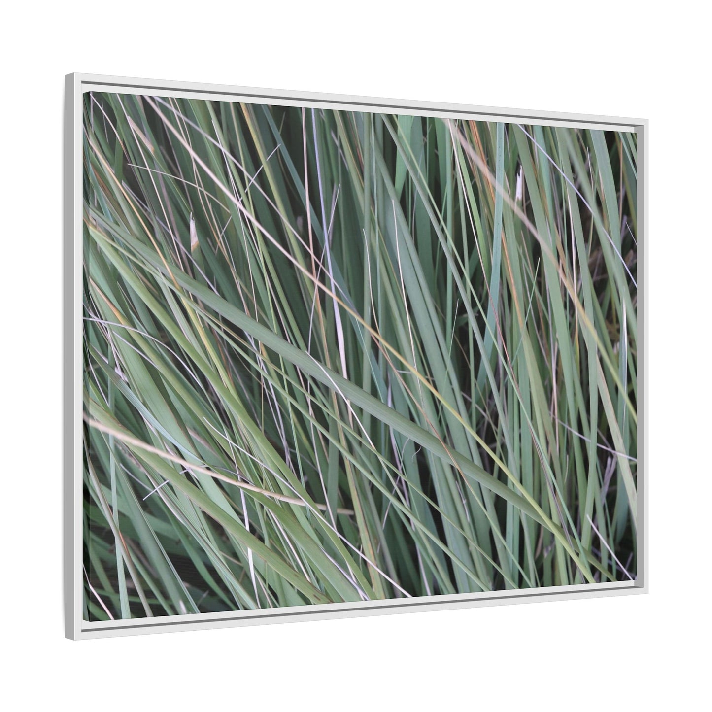 Grassland Symphony - Unique Stretched Canvas Wall Art