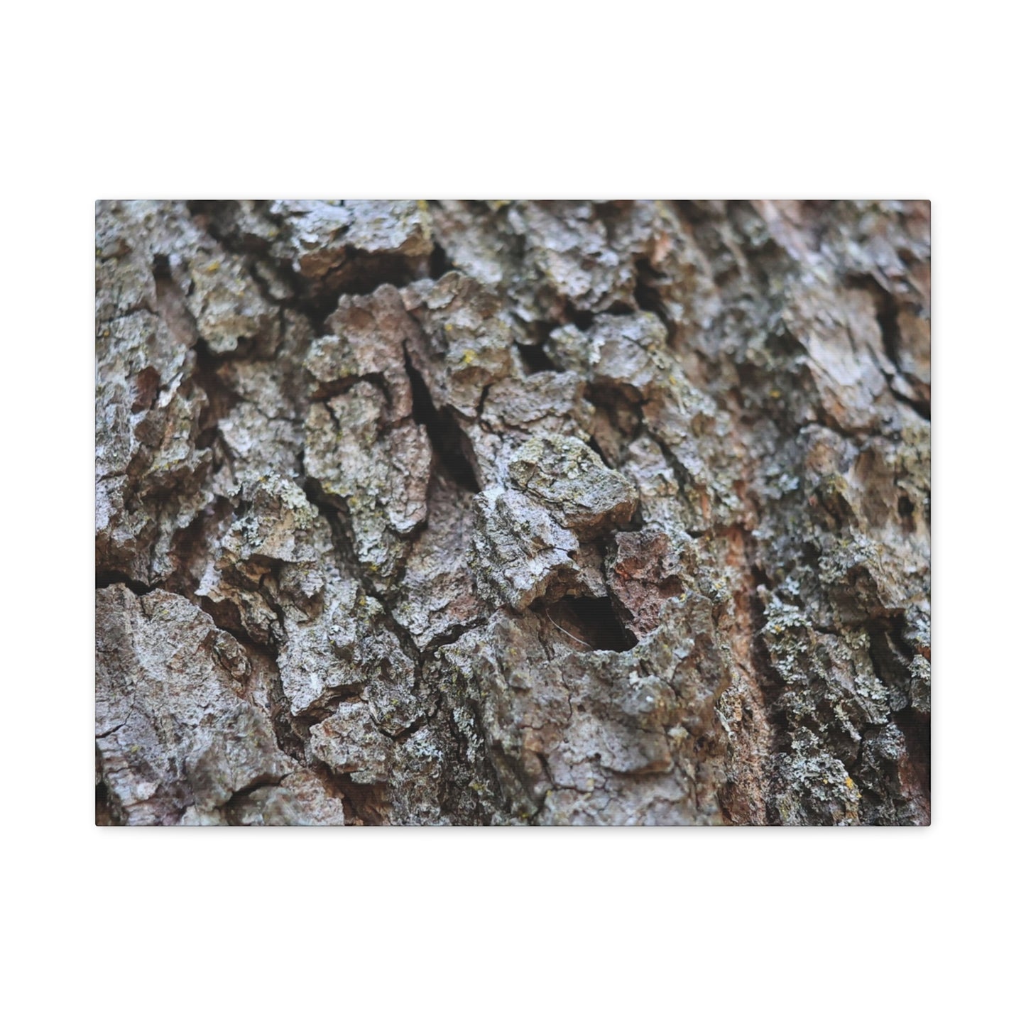 Cracked Echoes - Unique Frameless Canvas Wall Art