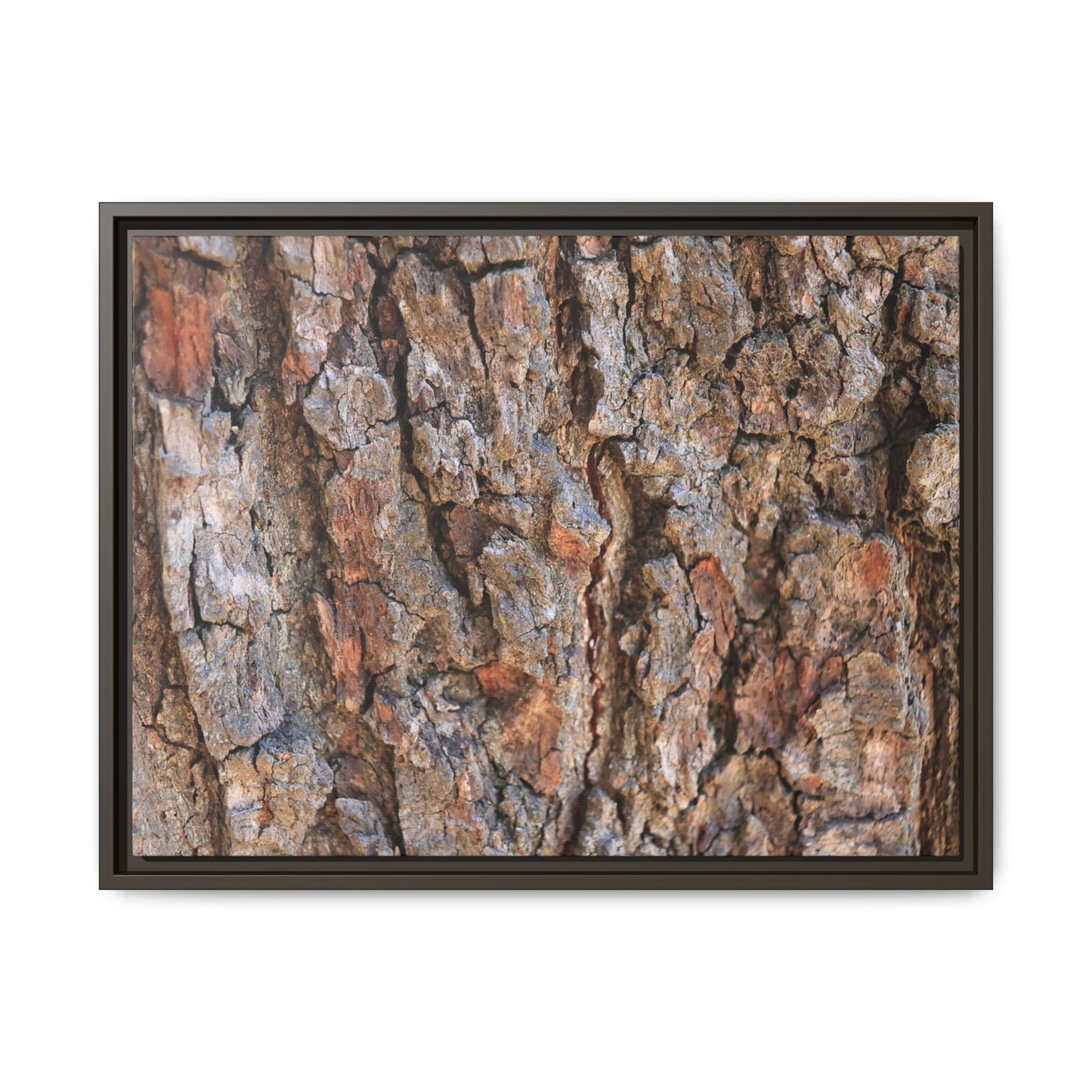 Tree's Timeworn Tale - Unique Stretched Canvas Wall Art