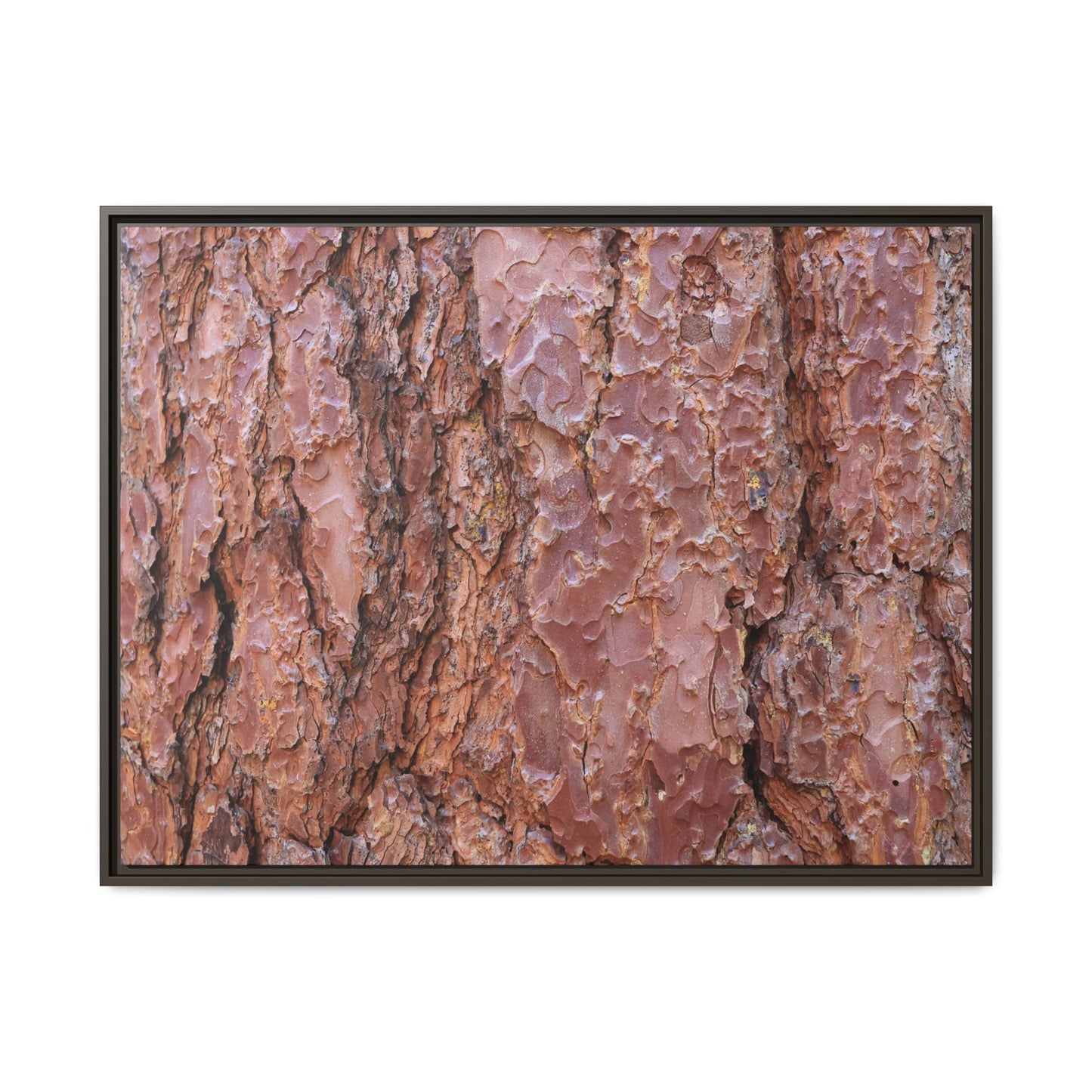 Russet Ridges - Unique Stretched Canvas Wall Art