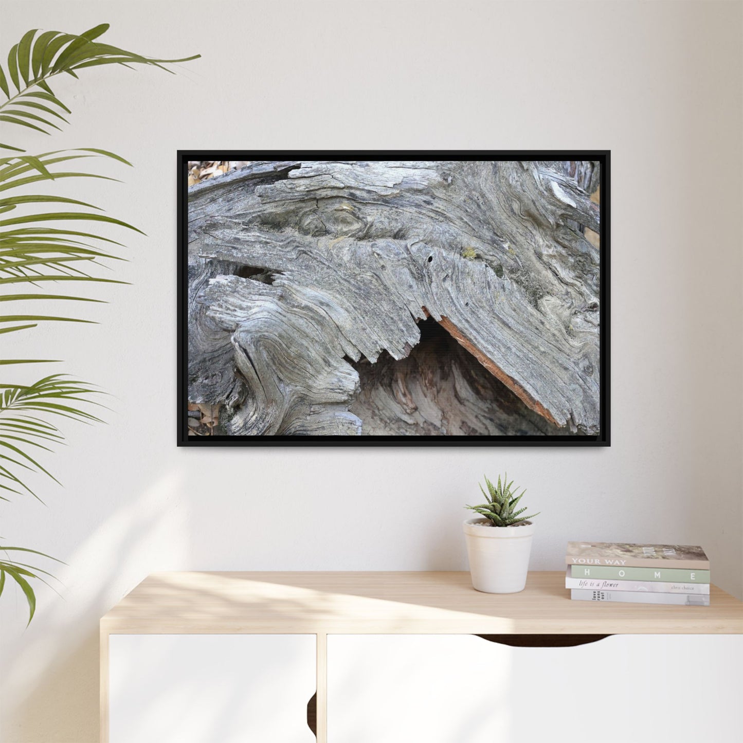 Driftwood Dreams - Unique Stretched Canvas Wall Art