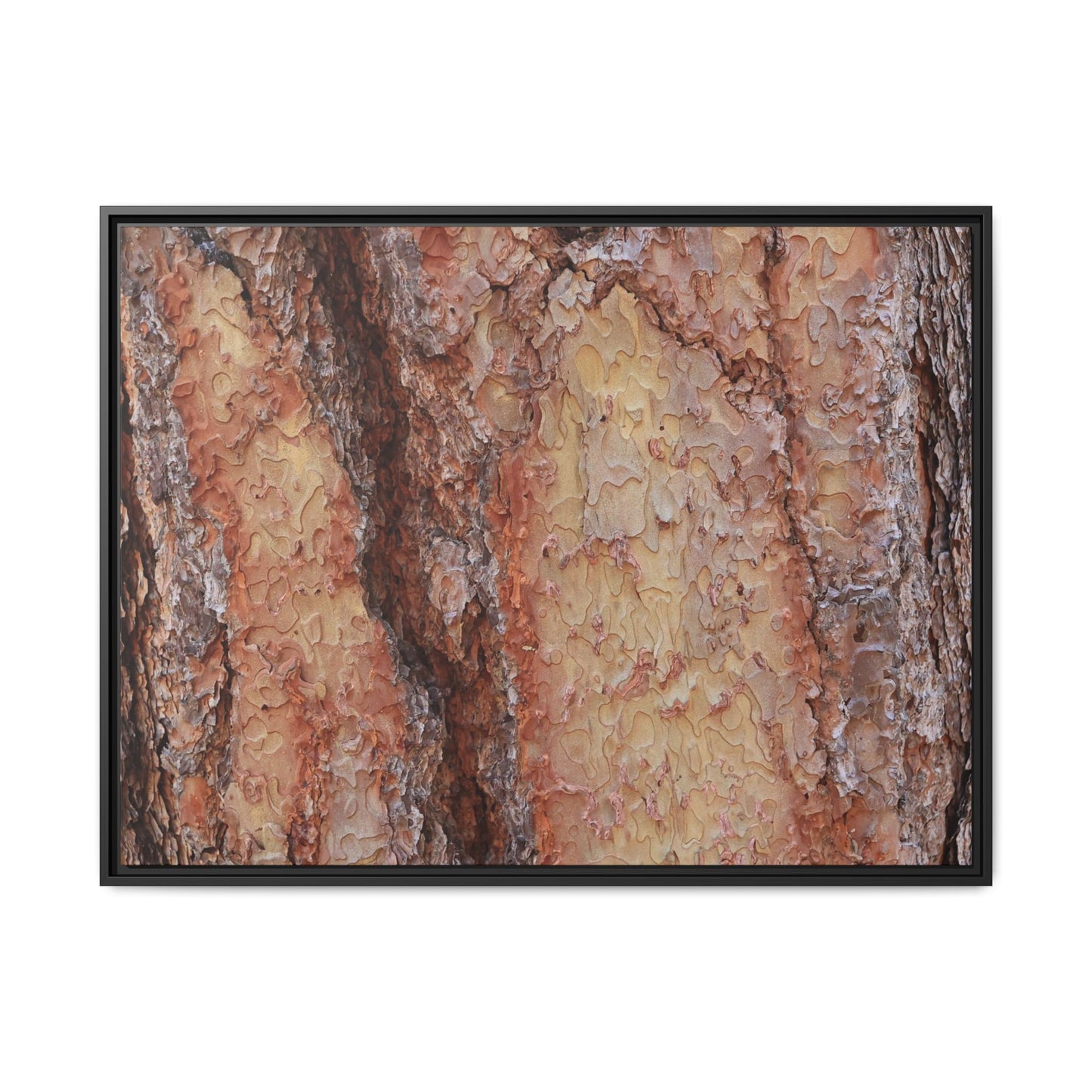 Rustic Rhythms - Unique Stretched Canvas Wall Art