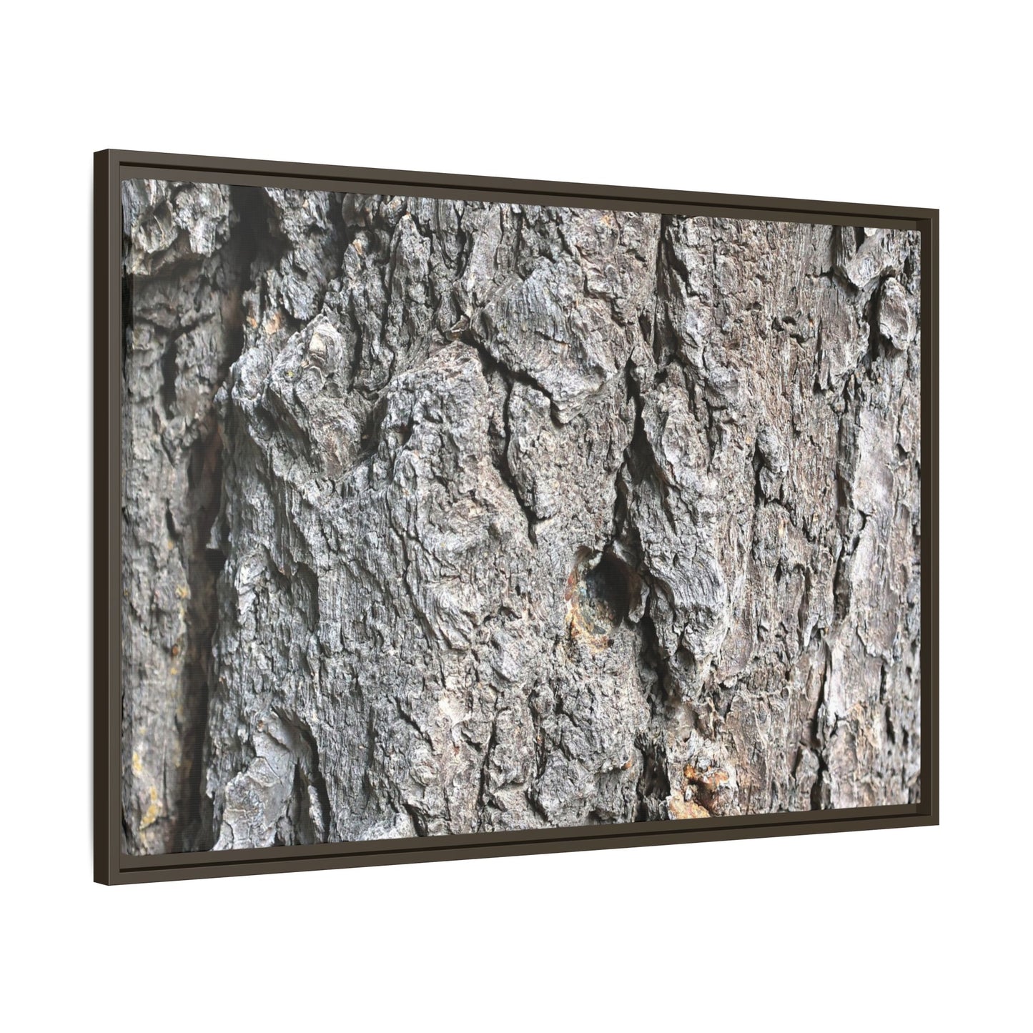 Crusty Exterior - Unique Stretched Canvas Wall Art