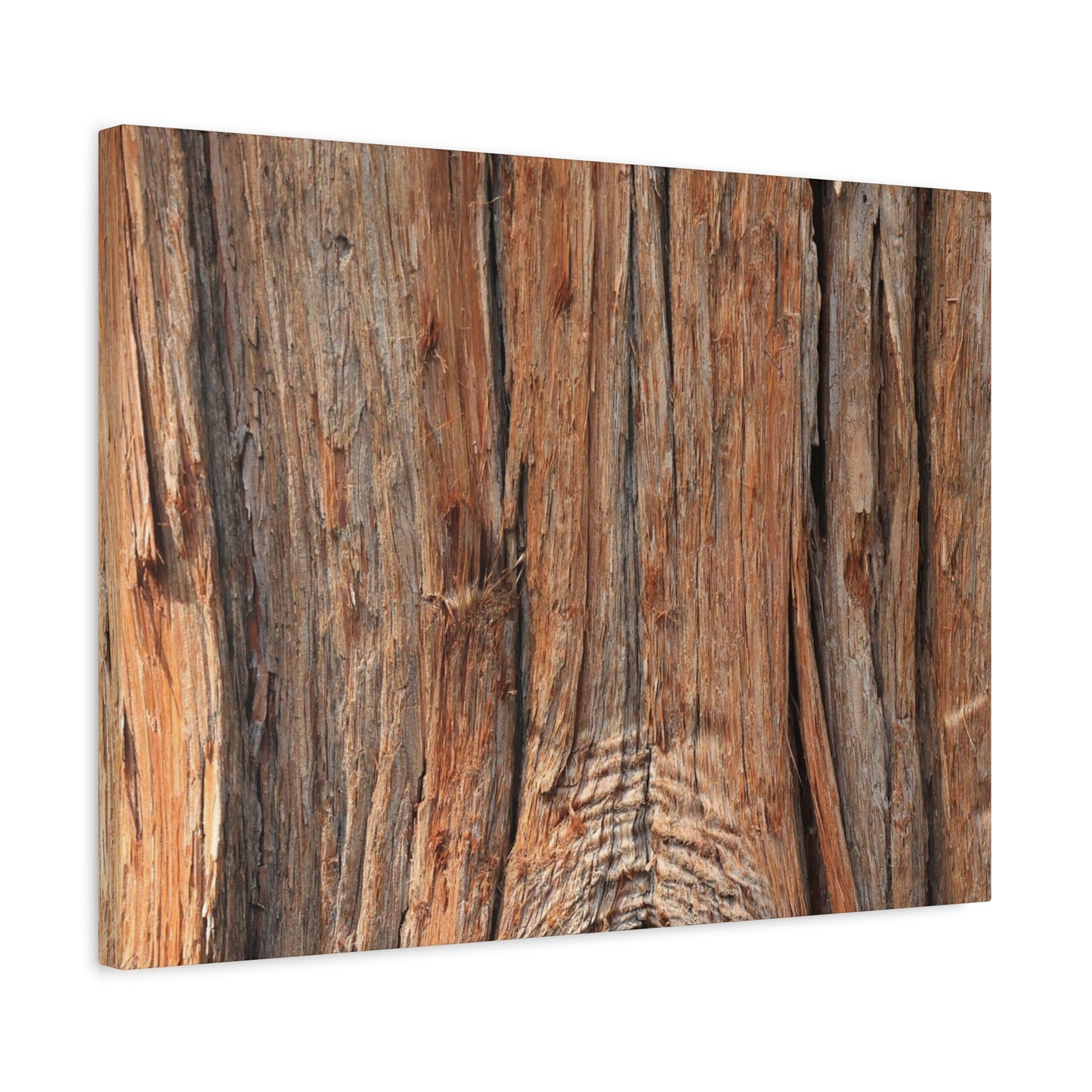 Bark's Ancient Whispers - Unique Frameless Canvas Wall Art