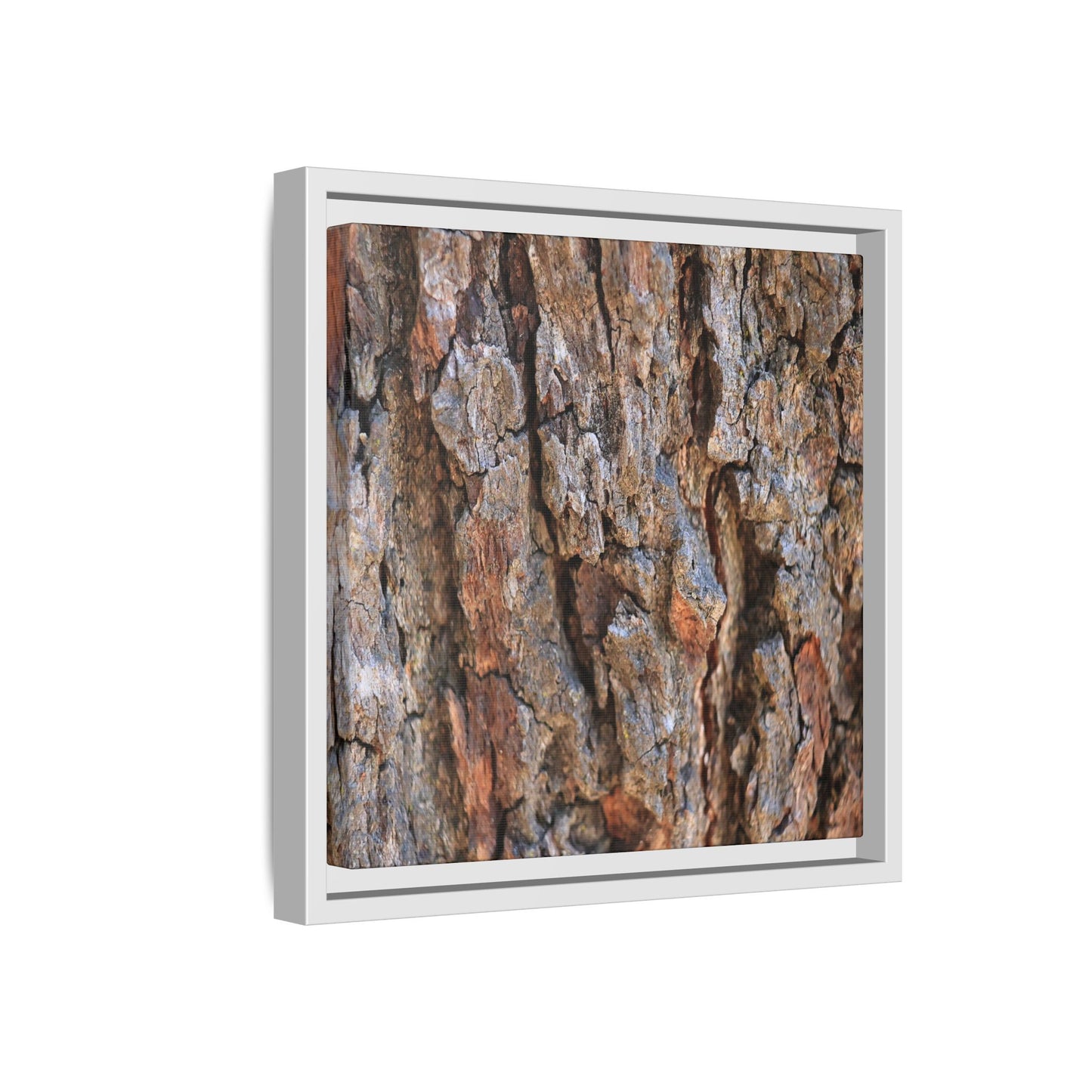 Craggy Textures - Unique Stretched Canvas Wall Art