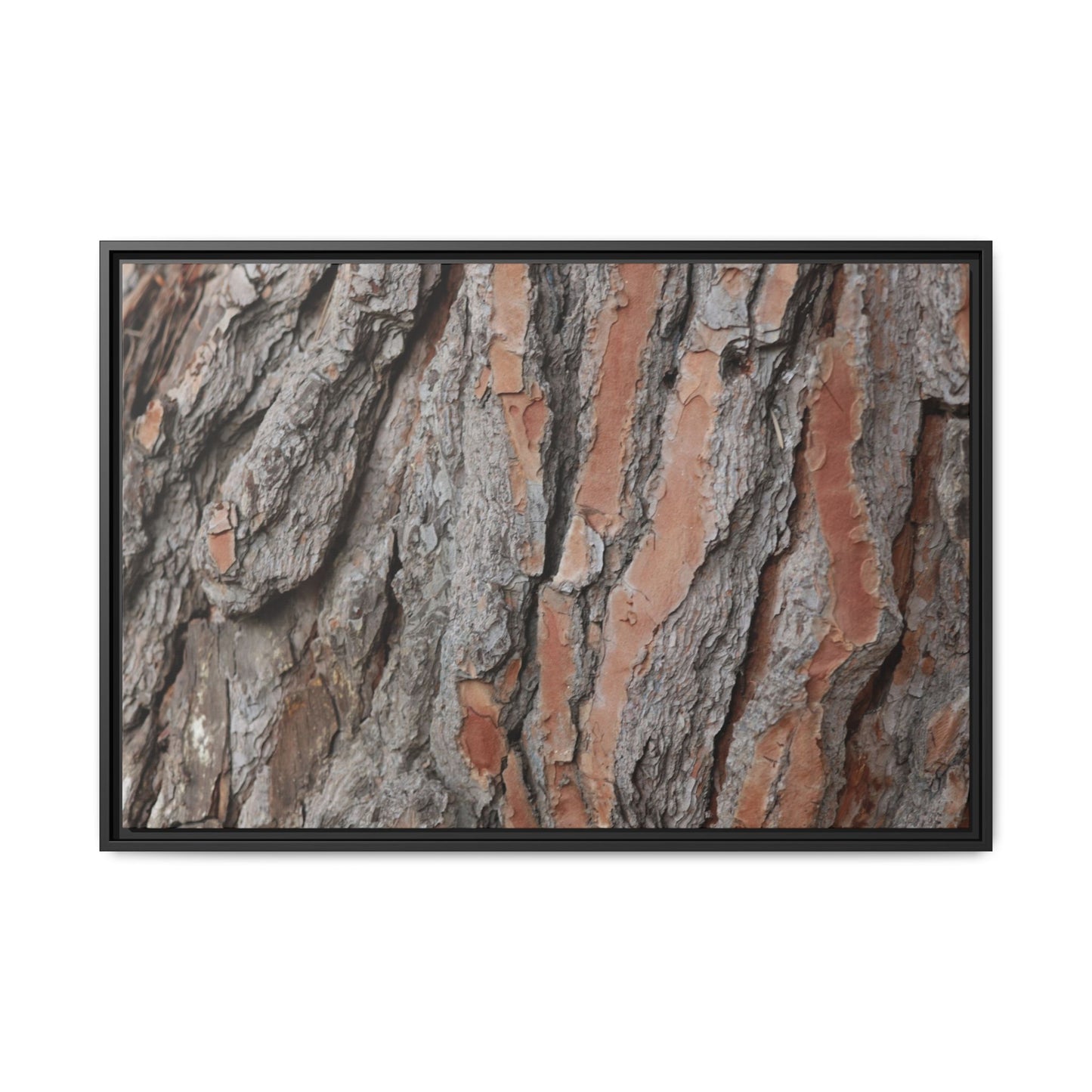 Woodland Layers - Unique Stretched Canvas Wall Art