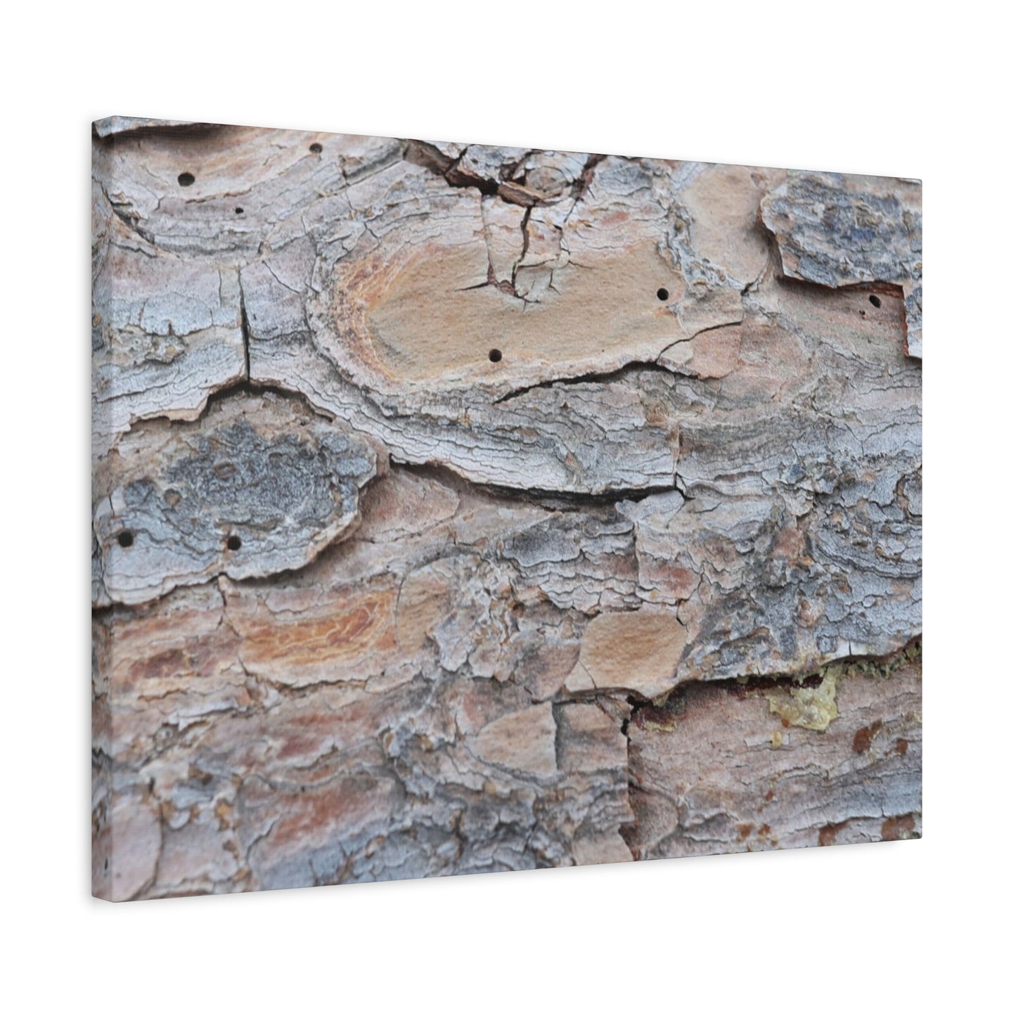 Textural Geology - Unique Frameless Canvas Wall Art