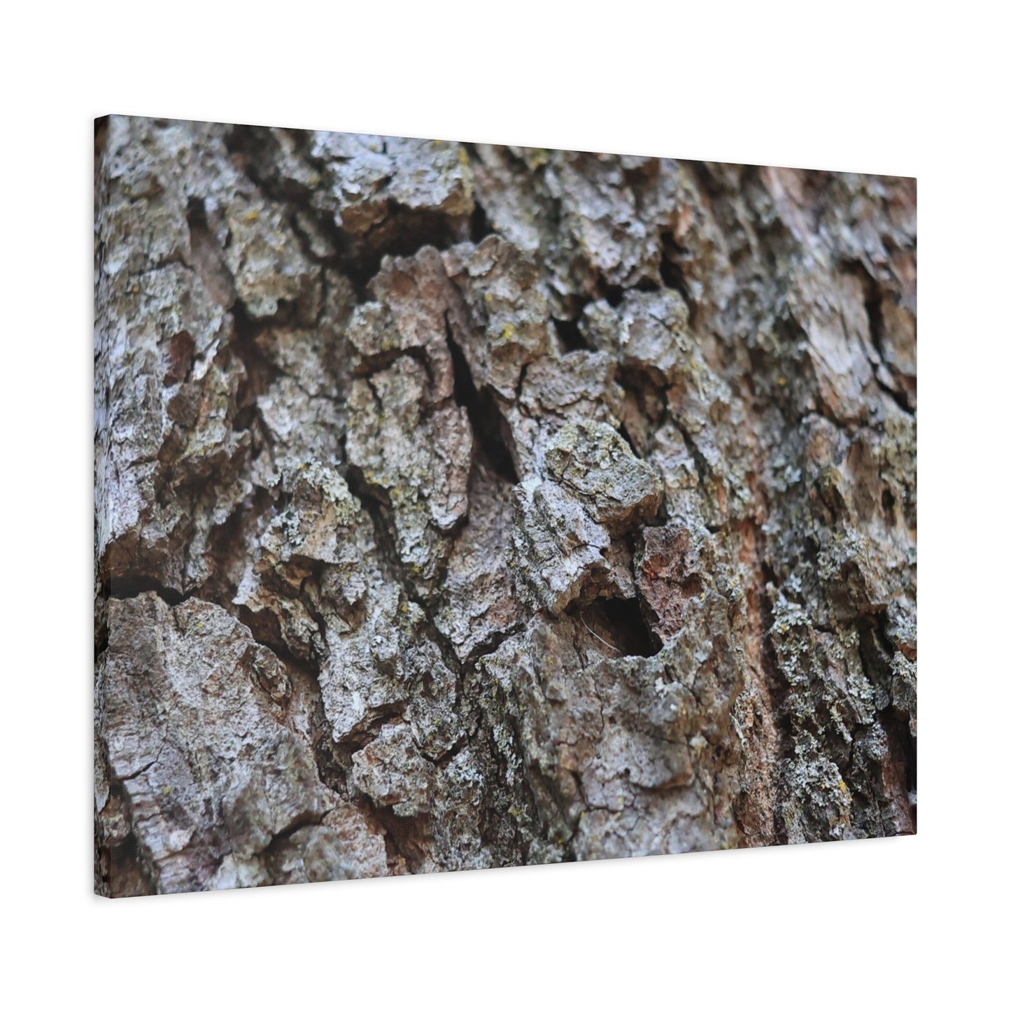 Cracked Echoes - Unique Frameless Canvas Wall Art