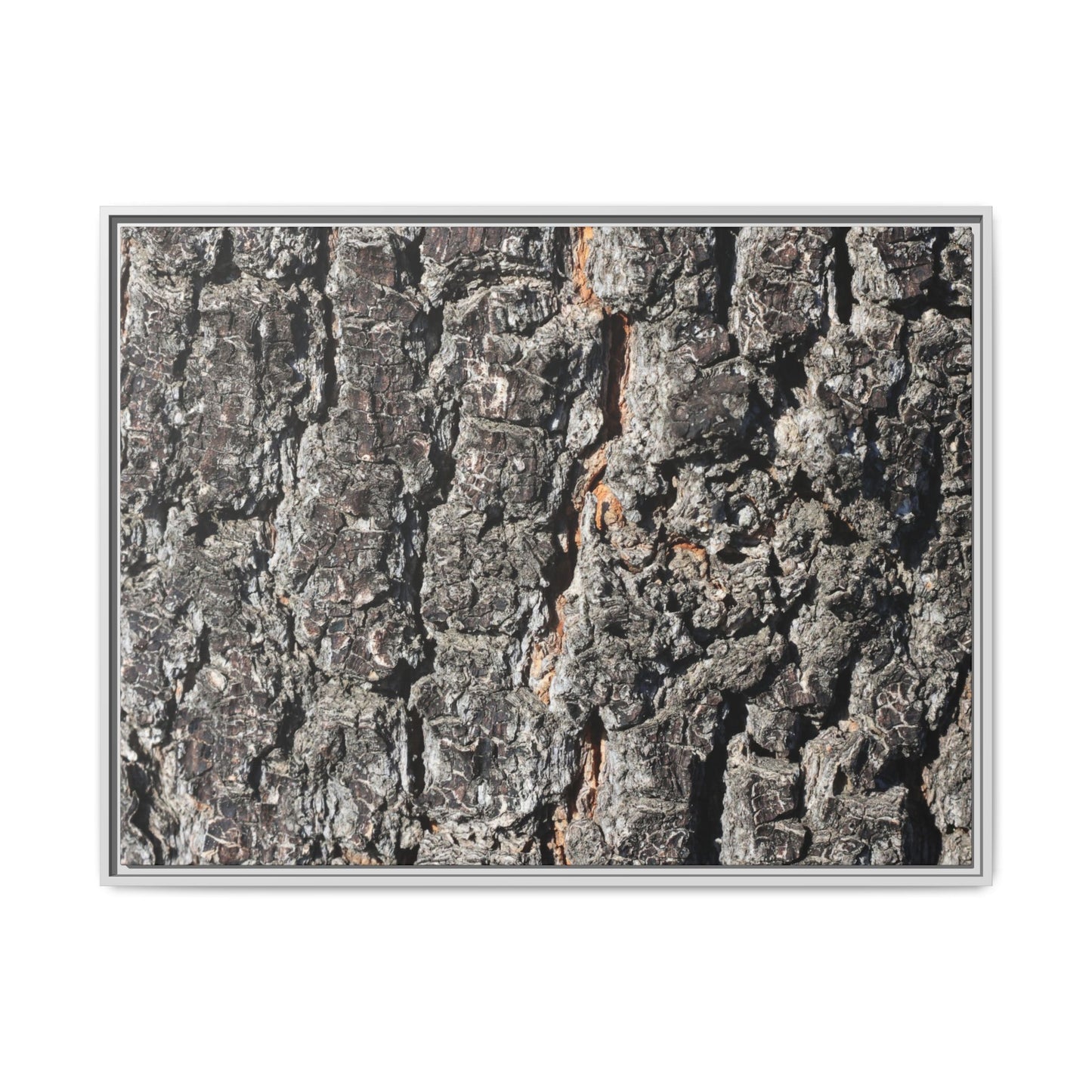 Aged Beauty - Unique Stretched Canvas Wall Art