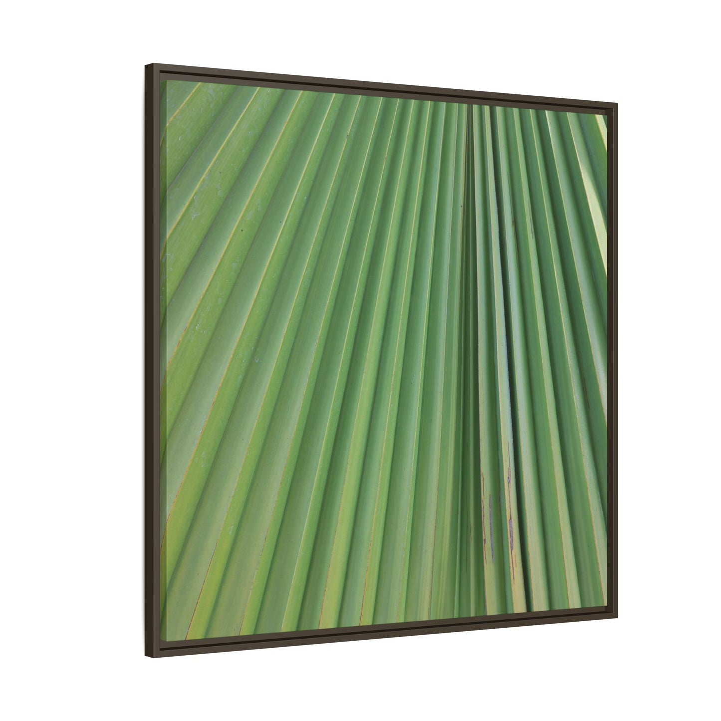 Emerald Rays - Unique Stretched Canvas Wall Art