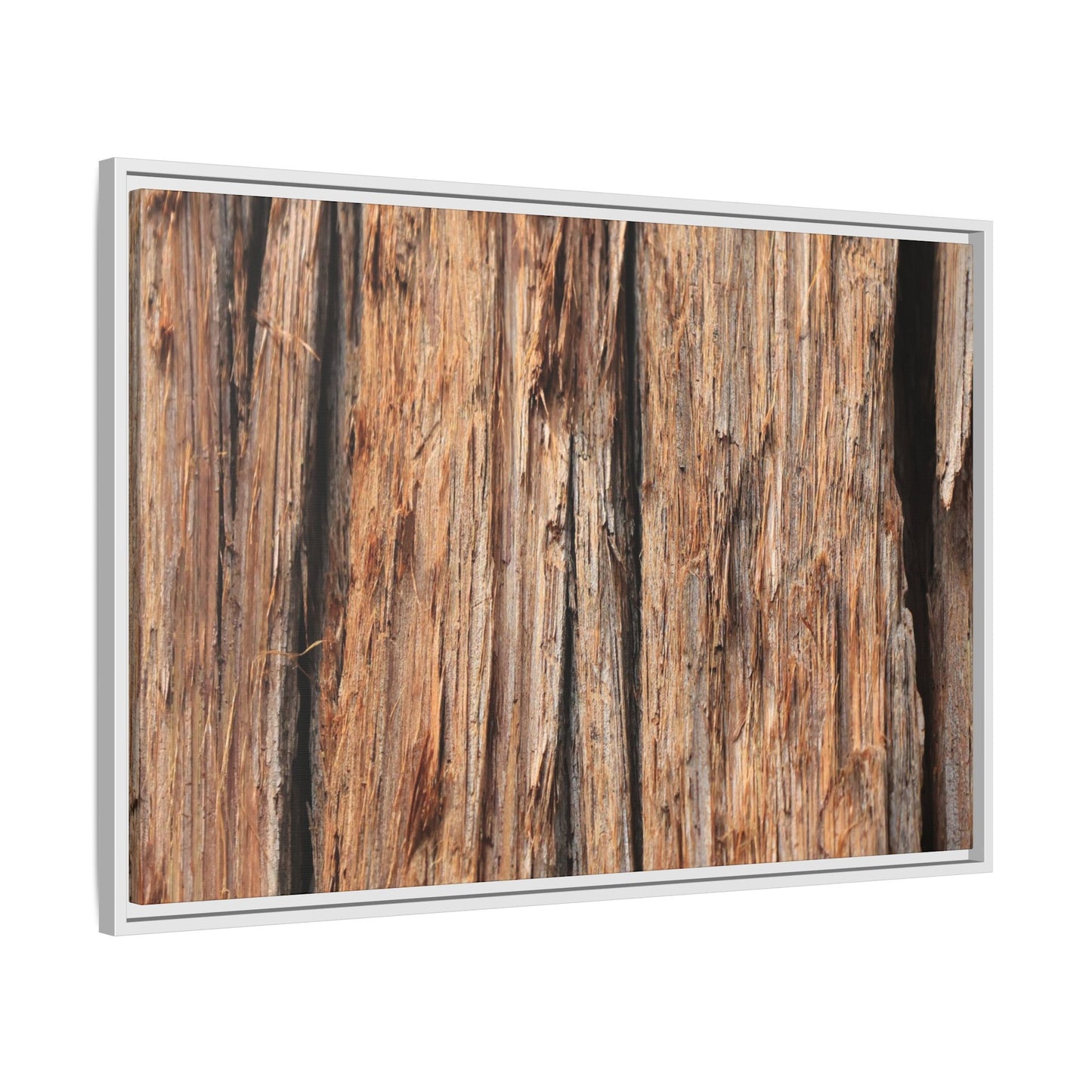 Timber Echoes - Unique Stretched Canvas Wall Art