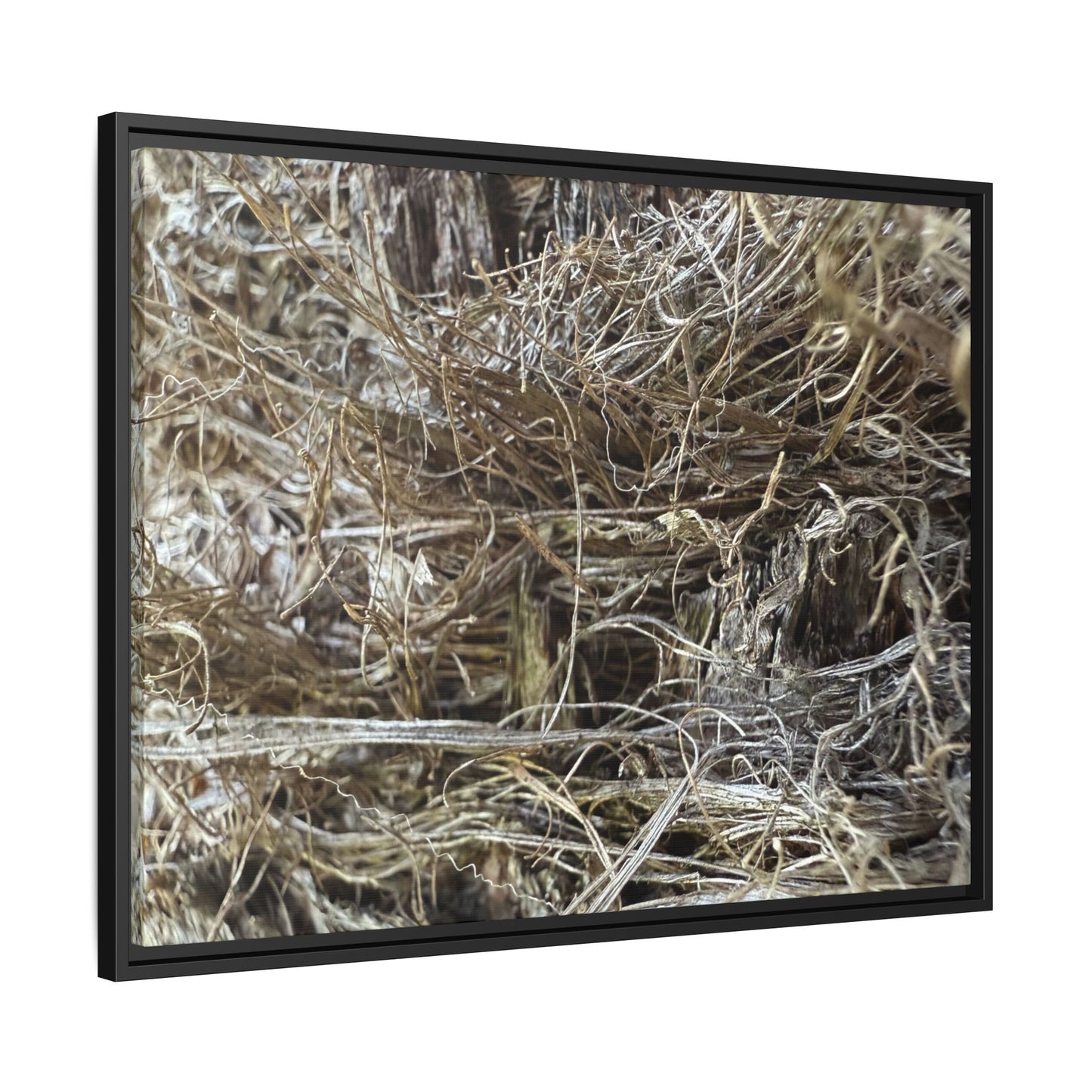 Tangled Whispers of Autumn - Unique Stretched Canvas Wall Art