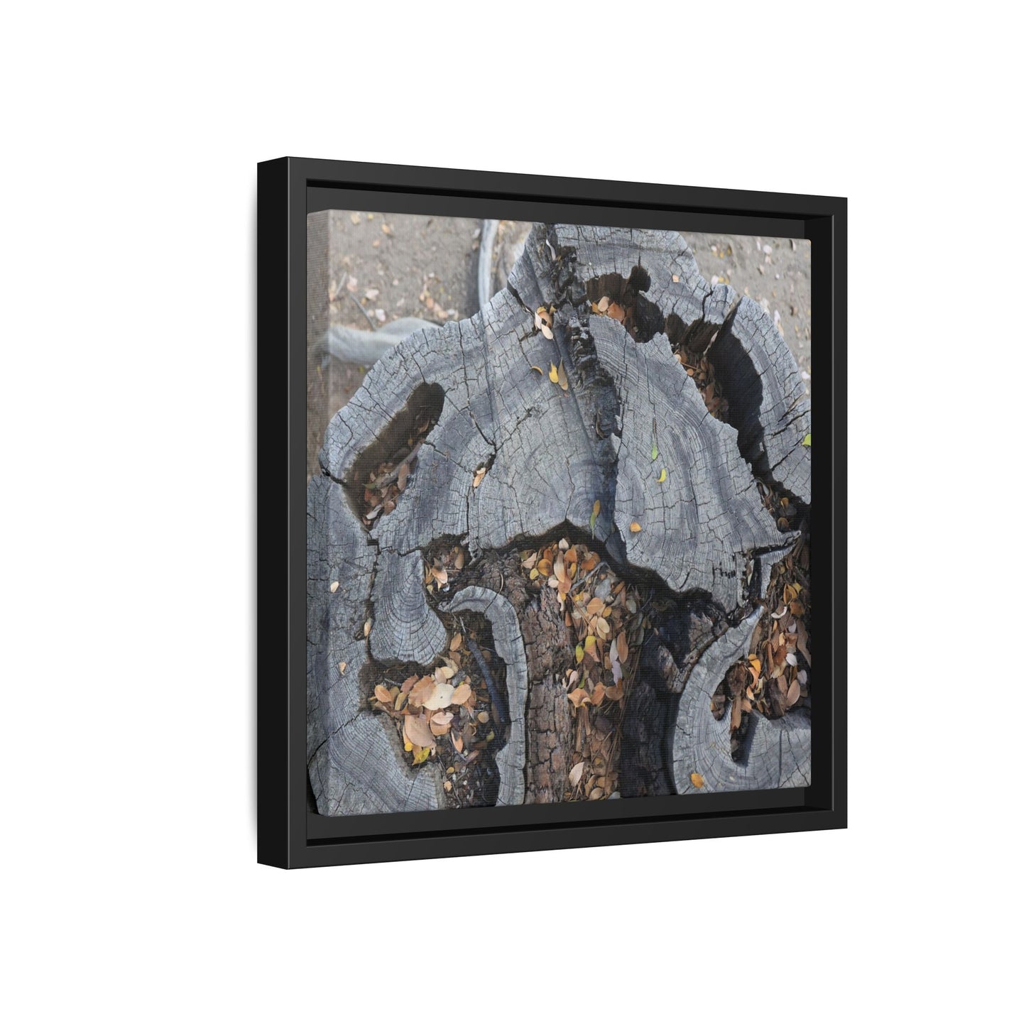 Time's Fractal Memory - Unique Stretched Canvas Wall Art