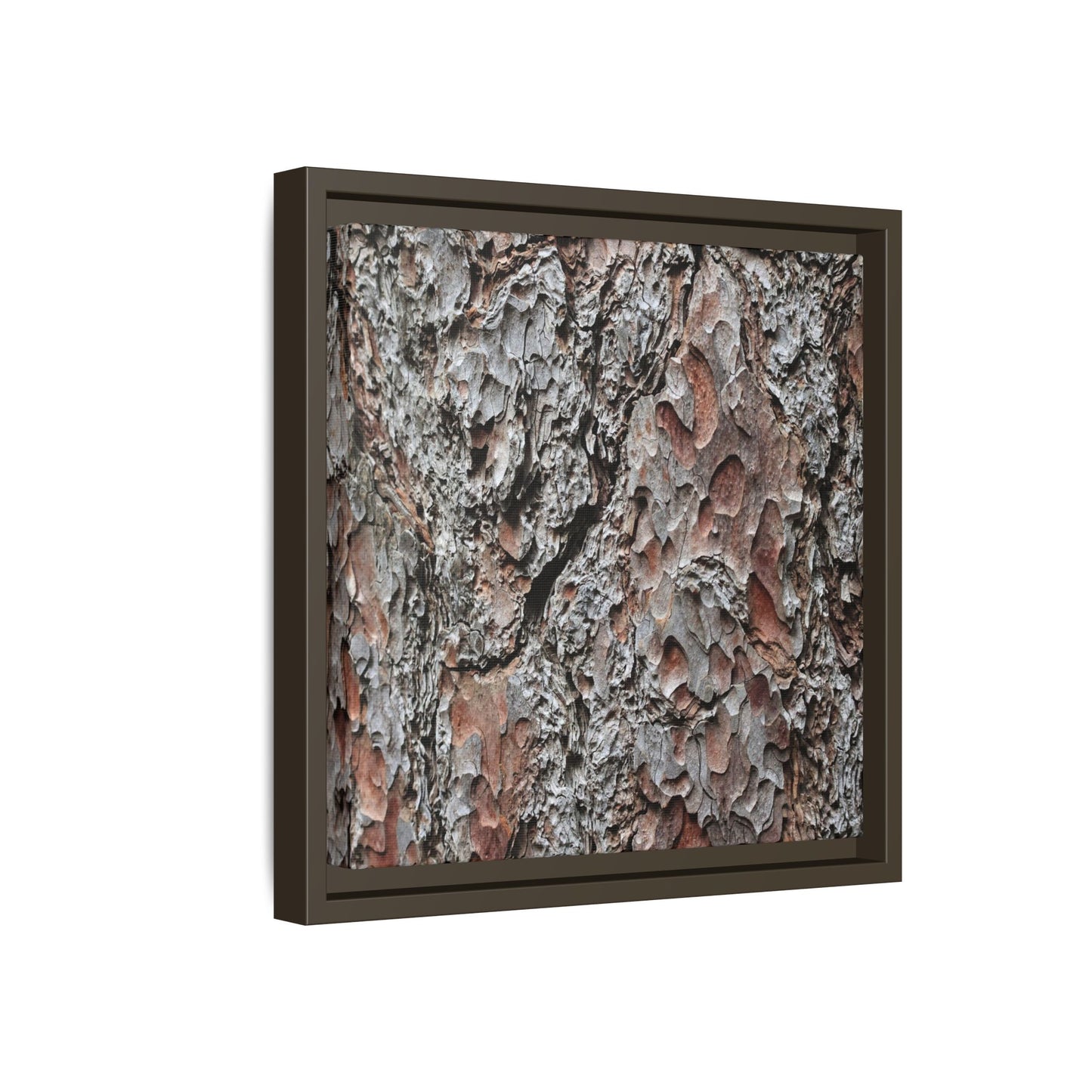 Bark Texture Symphony - Unique Stretched Canvas Wall Art