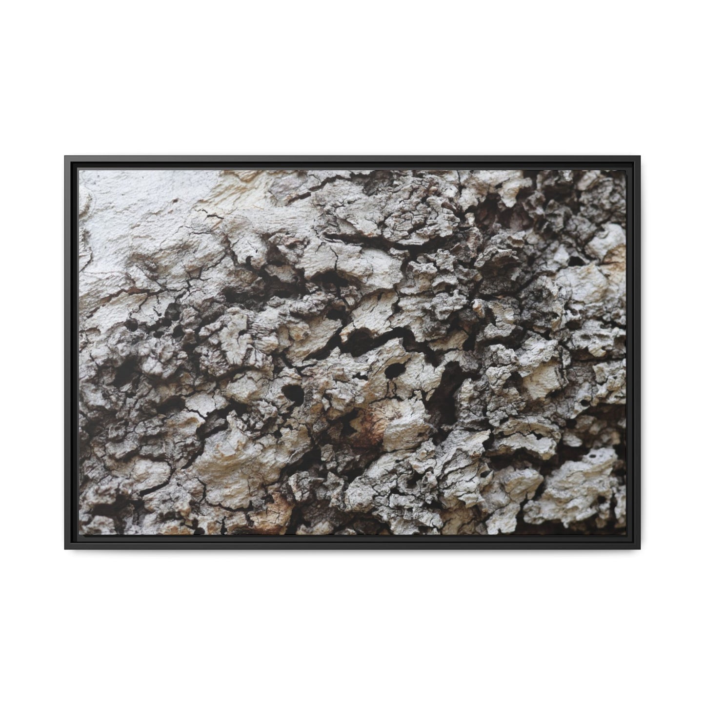 Cracked Terrain - Unique Stretched Canvas Wall Art