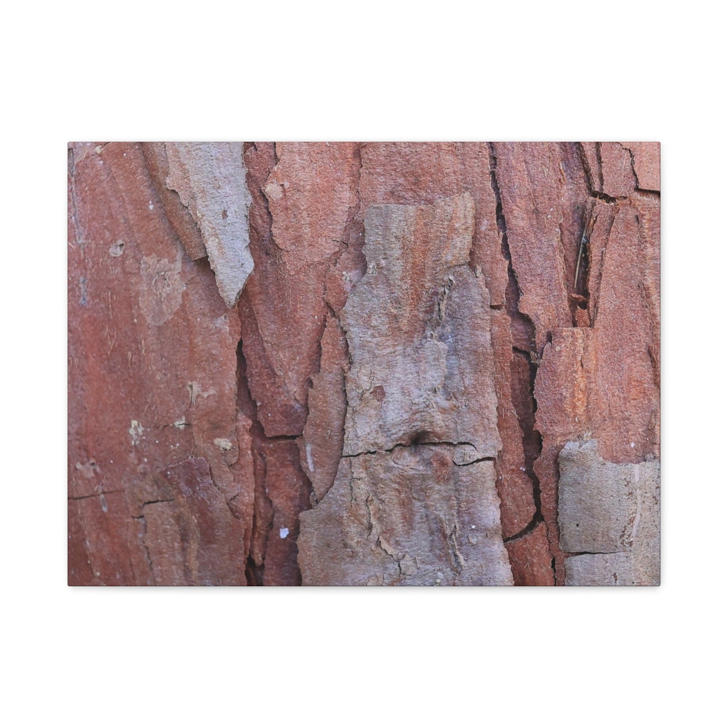 Fractal Rust - Unique Frameless Canvas Wall Art